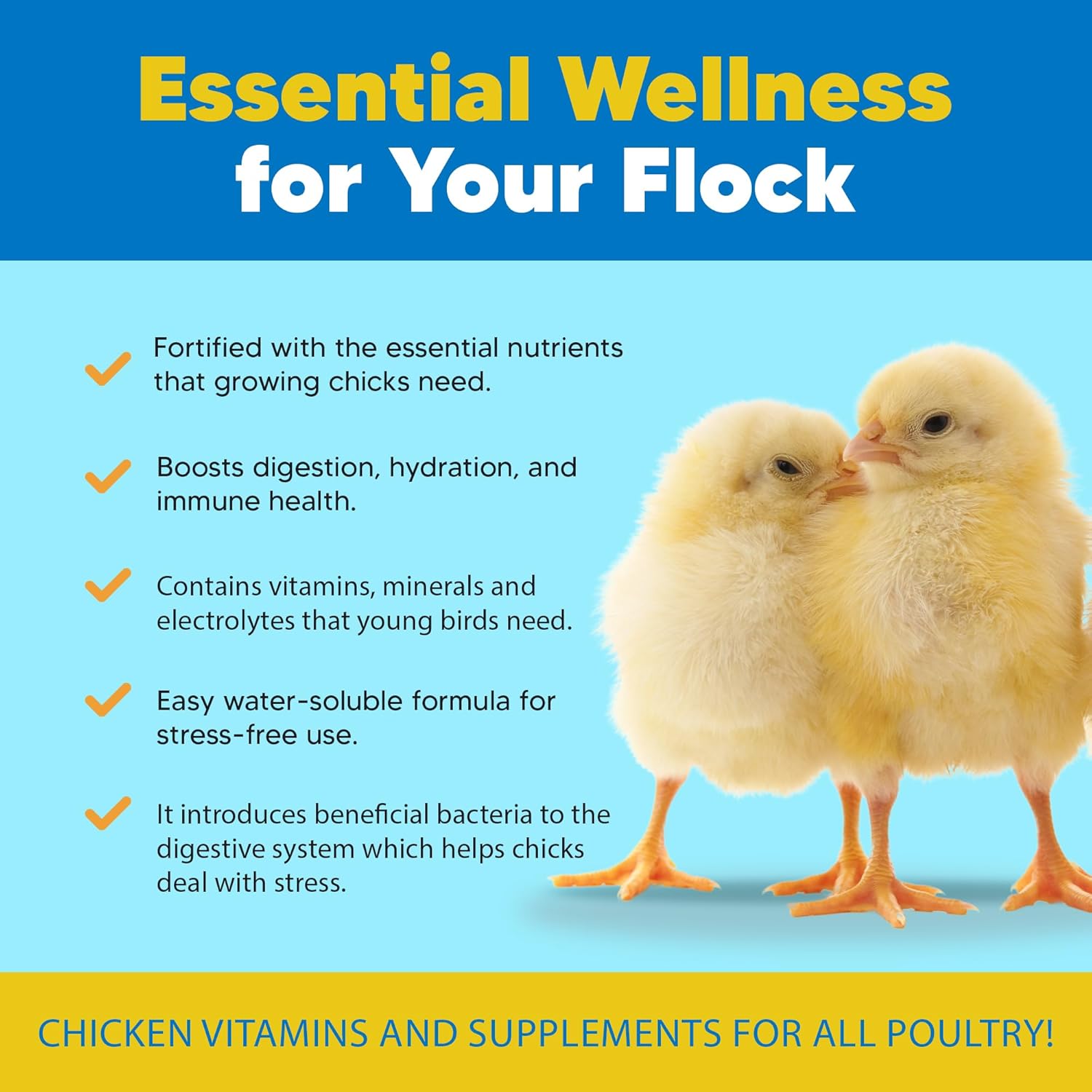 Chick Boost Probiotic - Probiotics, Vitamins, Minerals and Electrolytes for Chickens | Chicken Vitamins and Supplements for All Poultry - 1lb