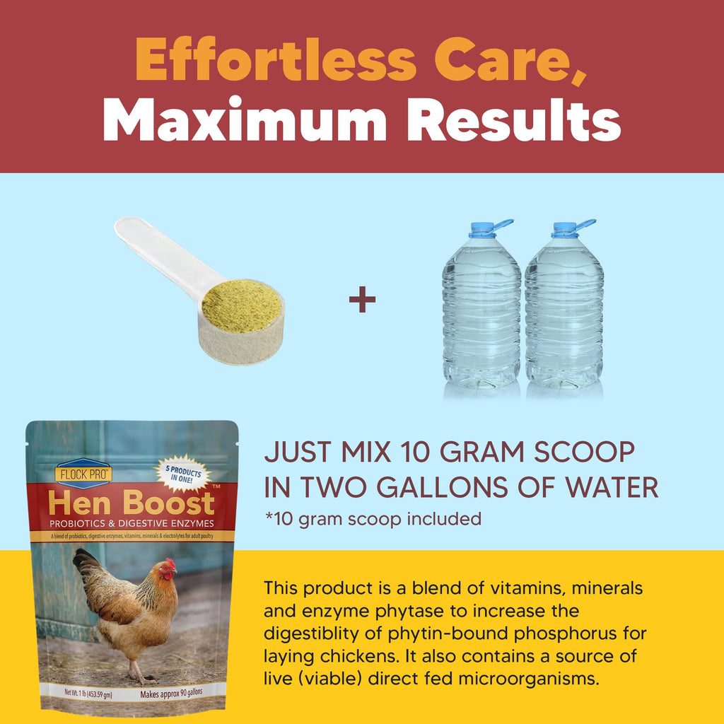 Hen Boost Probiotic - Probiotics, Vitamins, Minerals and Electrolytes for Chickens | Chicken Vitamins and Supplements for All Poultry - 3oz