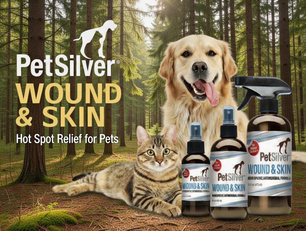 PetSilver Antibacterial Wound & Skin Spray | Dog Hot Spot Treatment & Cat Wound Spray | Chelated Silver Skin Soother for Rashes & Sores | Dog Wound Care & Itch Spray - 4 fl oz