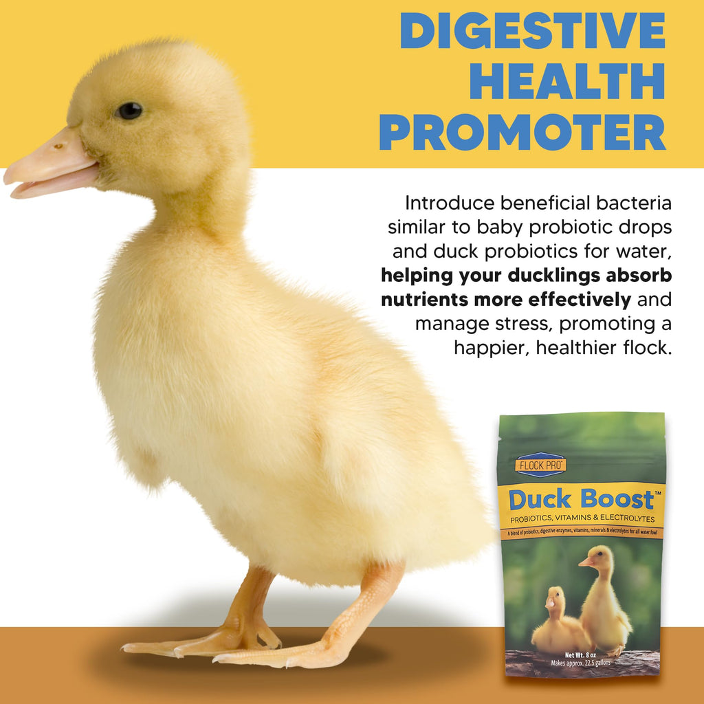 Duck Boost Probiotic - Probiotics, Vitamins, Minerals and Electrolytes for Chickens | Duck Vitamins and Supplements for All Poultry - 8oz