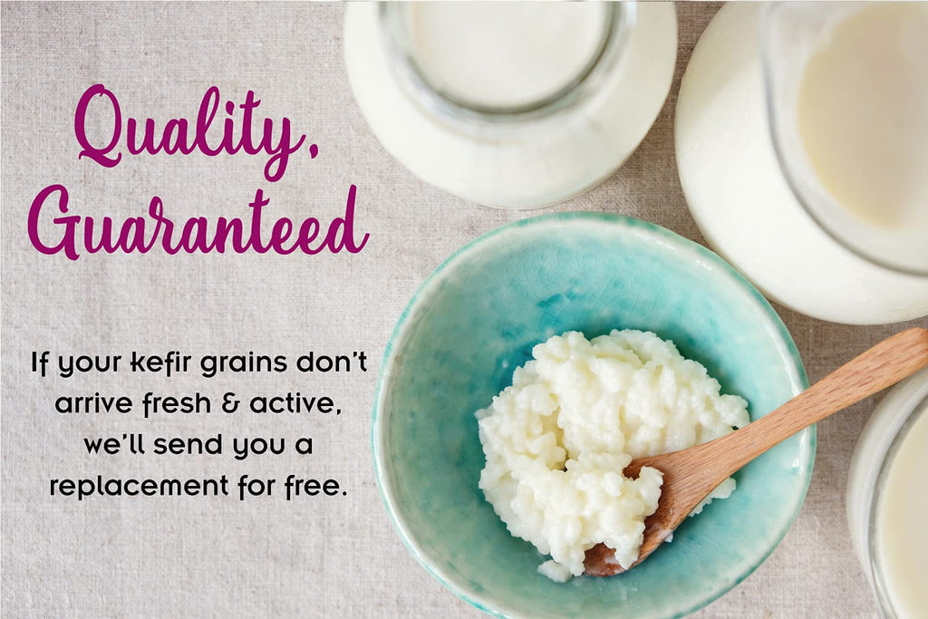 1 TBSP Milk Kefir Grains and eBook "Milk Kefir Unleashed by Thomas Egbert" - Fresh Live Active Probiotic Starter Cultures - Fusion Teas