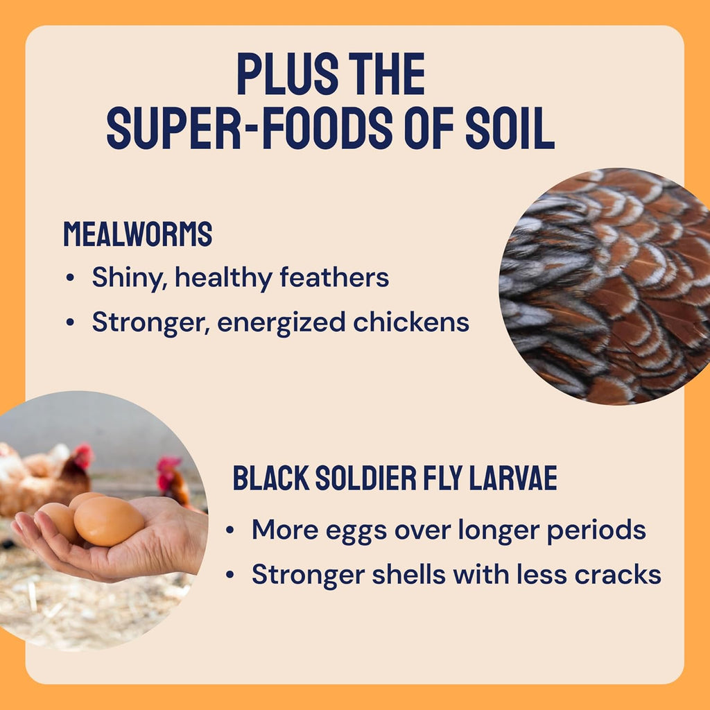 Hatortempt Surf and Turf 10lbs - Dried Mealworms for Chickens, Krill and Black Soldier Fly Larvae - High Calcium and Protein - Chicken Treats for Hens, Wild Birds and Duck Food