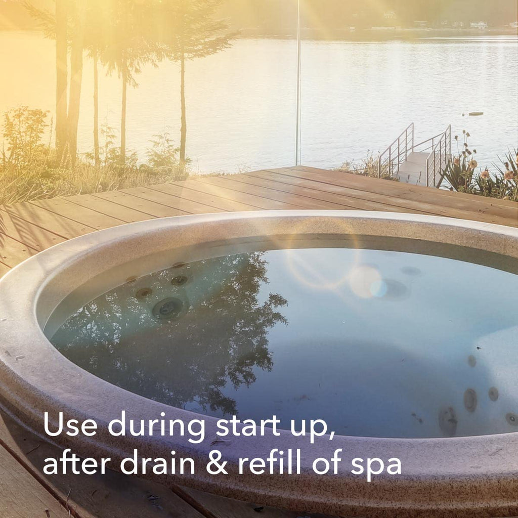 Leisure Time D Metal Gon for Spas and Hot Tubs, Powerful Water Treatment Solution, 16 Ounce