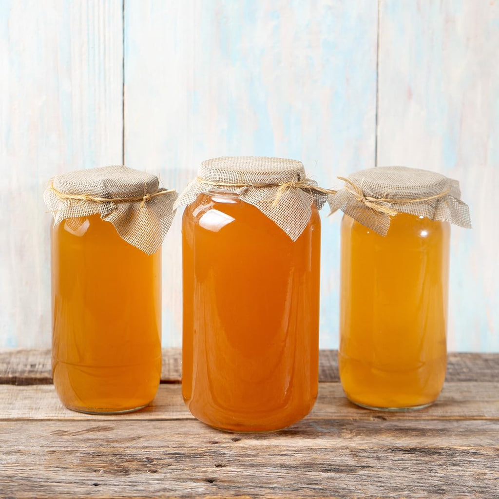 1 X Organic Kombucha Scoby - Live Culture by Scoby Kombucha