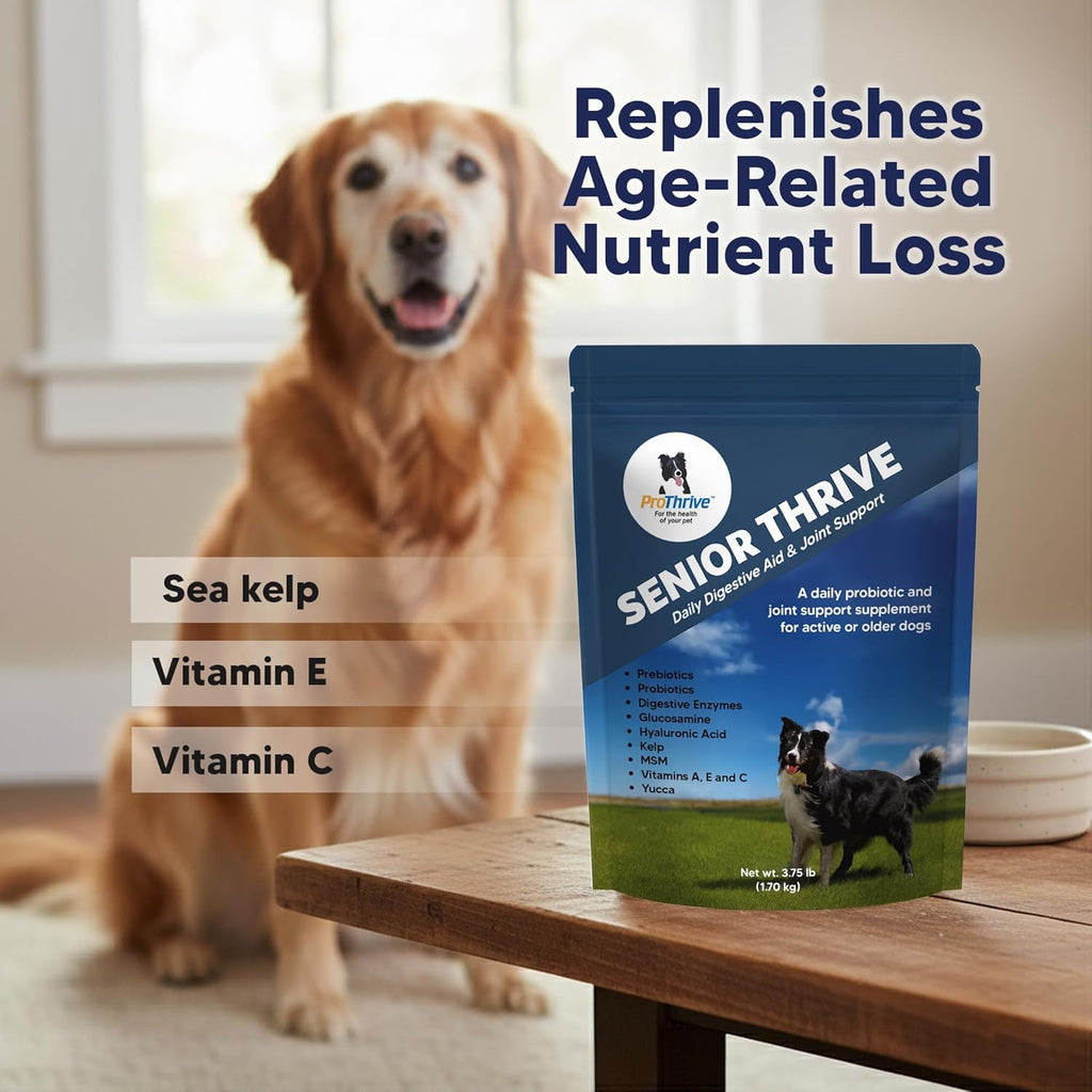 ProThrive Senior Dog Digestive & Joint Supplement - Supports Healthy Digestion, Immune System, and Joint Comfort for Aging Dogs, Advanced Relief 3.75 Lb
