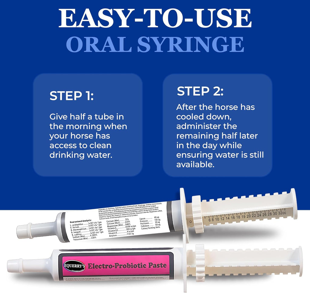 Equerry’s Electro-Probiotic Paste for Horses - 30g | Equine Probiotics & Electrolytes for Stressed Horses | Easy Oral Syringe | Made in USA