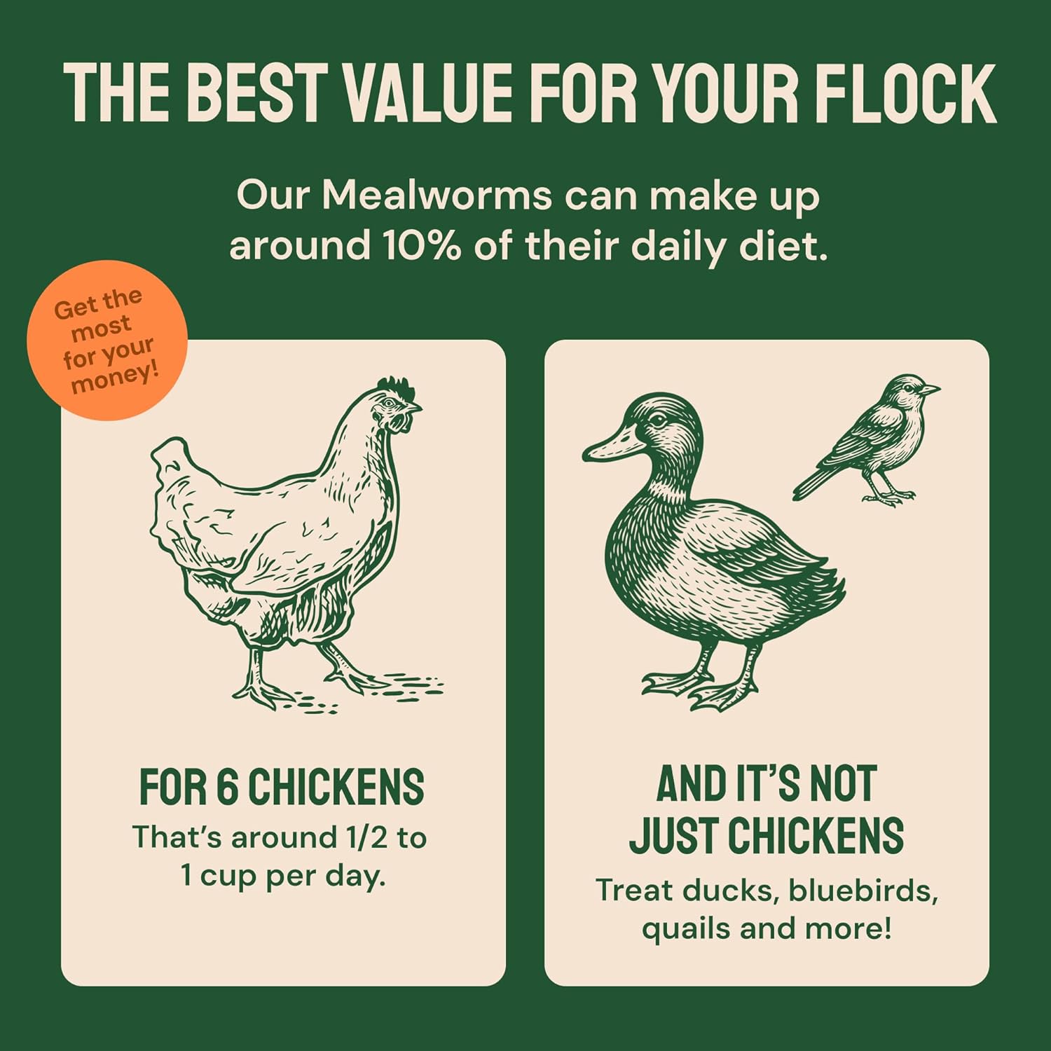Hatortempt 10lb Dried Mealworms and 32fl oz Coop Deodorizer Bundle - 50% Protein Organic Treats - Safe, No-Rinse Coop Refresher (2-Pack)