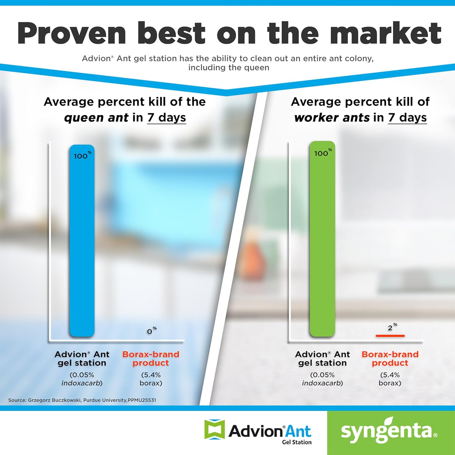 Syngenta Advion Ant Gel Station Insecticide, Ready-to-Use Gel Bait with The Active Ingredient Indoxacarb, Ant Bait for Use Indoor and Outdoor, 1 Box (3 Total Stations)