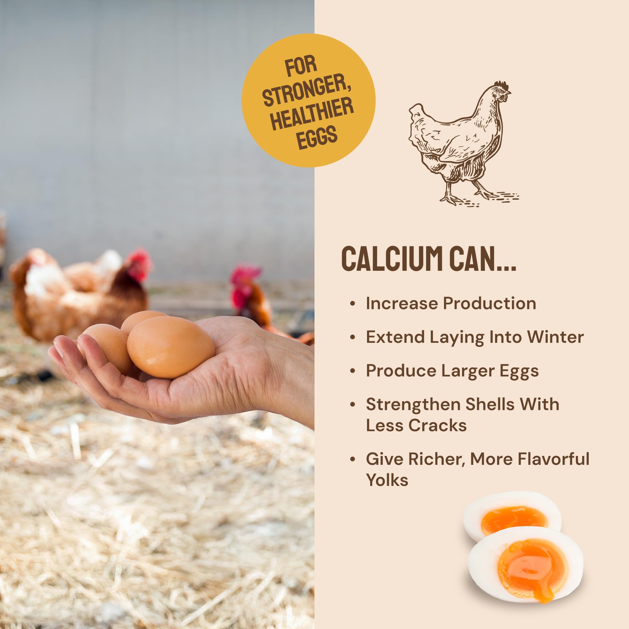 Hatortempt Grubs & Grits Chicken Feed Supplement - 5lb - with Chicken Grit, Mealworms, Black Fly Larvae and Oyster Shells - 21% Protein and 15% Calcium