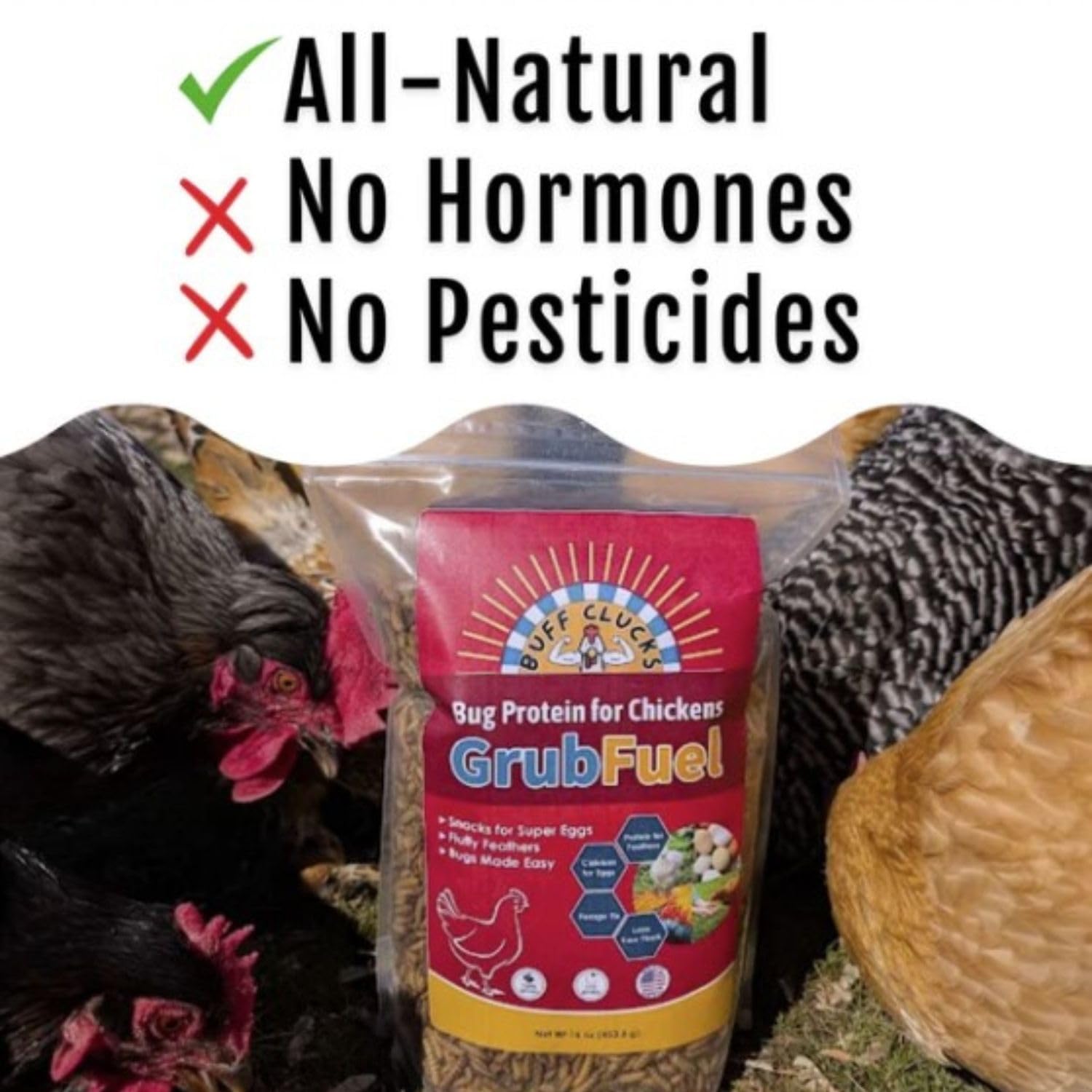 Buff Clucks Grub Fuel Black Soldier Fly Larvae for Chickens - Nutrient Packed BSFL, Sustainably Sourced Snack for Poultry, Rich in Protein, Calcium, Fiber, Essential Fatty Acids, USA Grown (5LB)