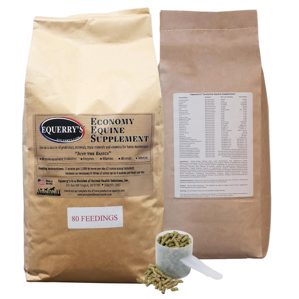 Equerry's Economy Equine Supplement - Horse Probiotics | Supplement for Horses | Horse Vitamins and Minerals Supplement with Enzymes and Selenium, 10lb