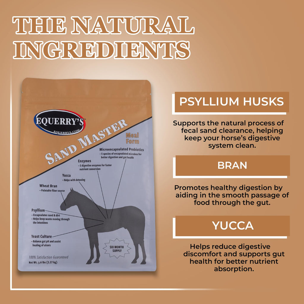 Equerry's Sand Master Horse Supplement - Supports Sand Removal & Overall Digestive Health for Horses | Fecal Clearance for Horses | Psyllium | Appetite Stimulation - 3.6lb