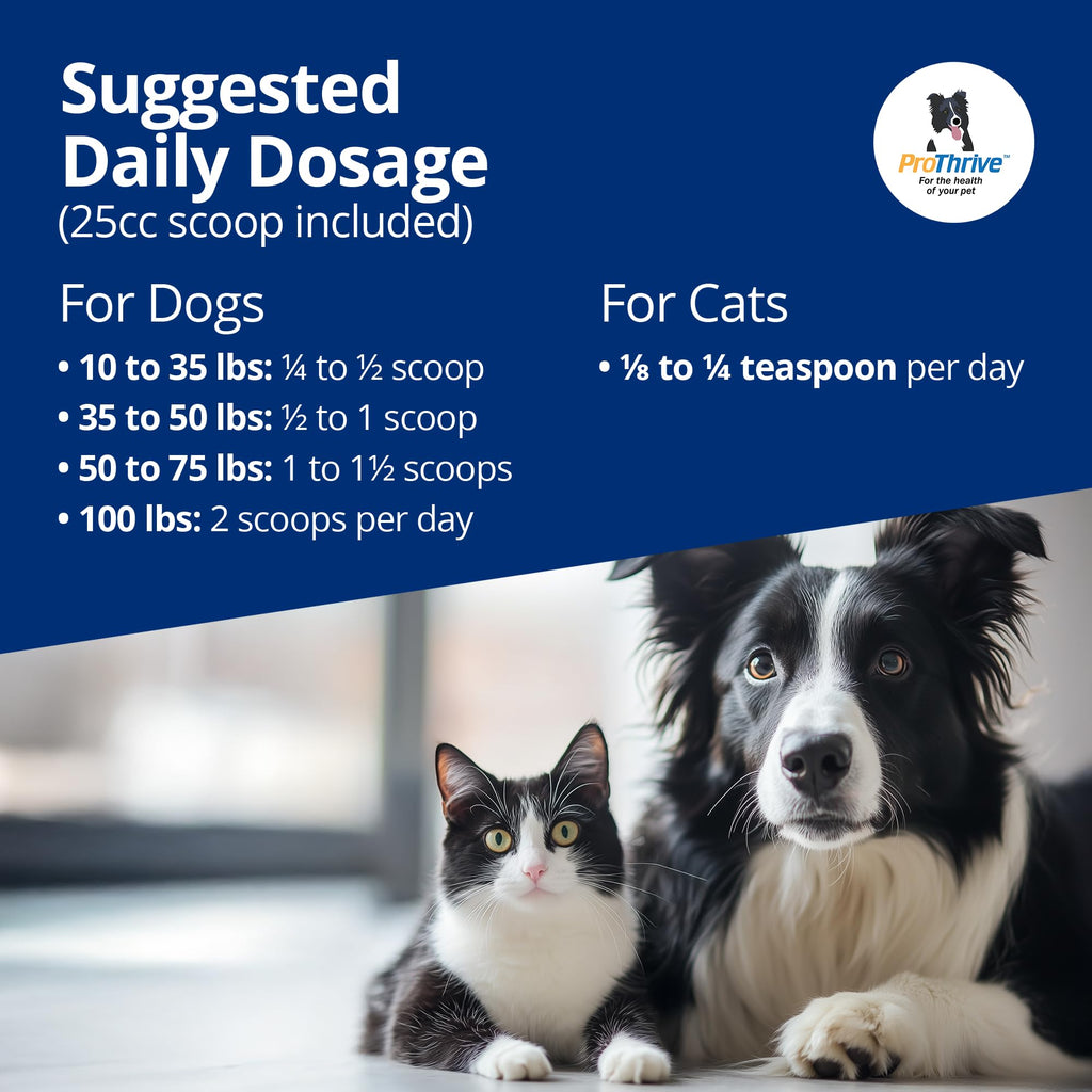 Spunky Digestive Supplement - Probiotics, Digestive Enzymes, Joint Support for Cats and Dogs | Gut Health | Pet Probiotics for Dogs and Cats - 5lb