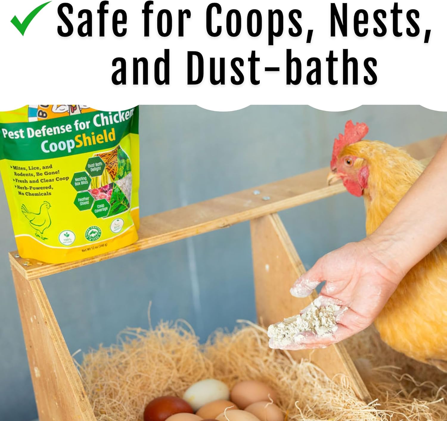 Buff Clucks Coop-Care Bundle – Herb Treat Mix 8 oz & CoopShield Natural + DE Powder | Aromatic Forage Herbs for Chickens for Nesting Boxes & Runs