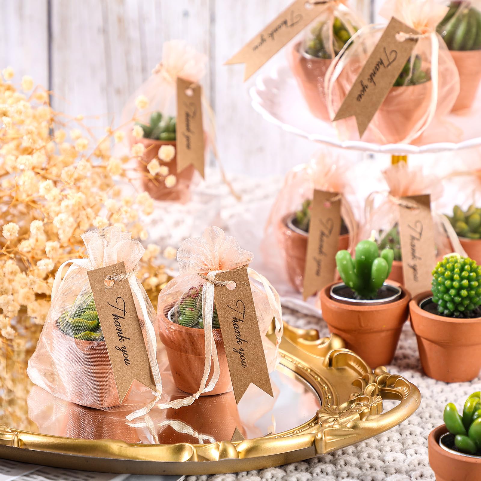 MTLEE 24 Pcs Succulent Tealight Candles - Wedding Party Baby Shower Valentines Gifts Birthday Pack with Terracotta Pot, Organza Bag, Tags, Twines