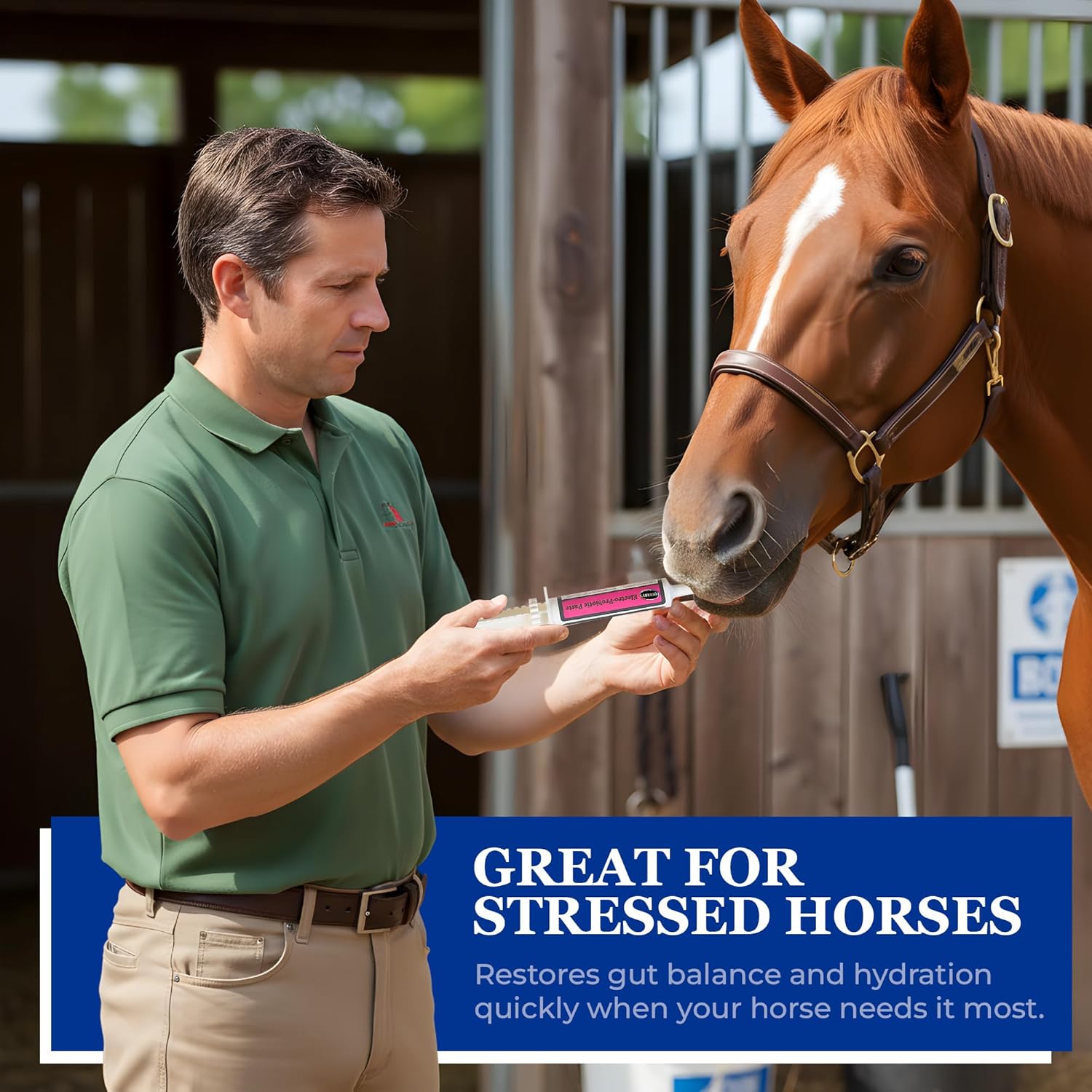 Equerry’s Electro-Probiotic Paste for Horses - 30g | Equine Probiotics & Electrolytes for Stressed Horses | Easy Oral Syringe | Made in USA