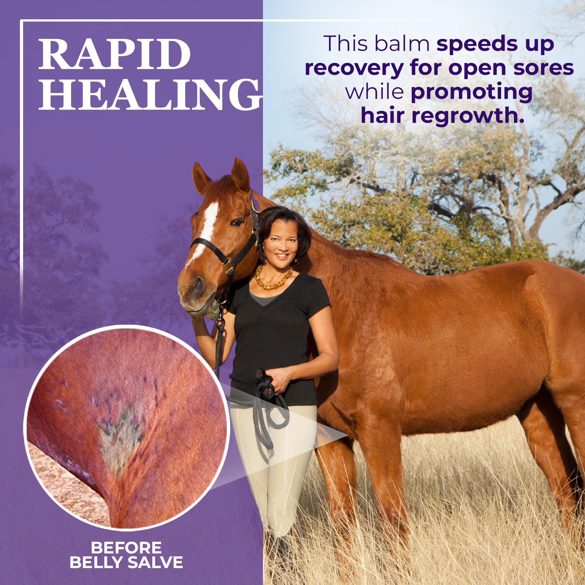 Farrier’s Wife Belly Salve-Natural Soothing Salve for Horses| Helps Fly Bite Dermatitis| Promotes Hair Growth| Belly Balm| Horse Sweet Itch Ointment - 7oz