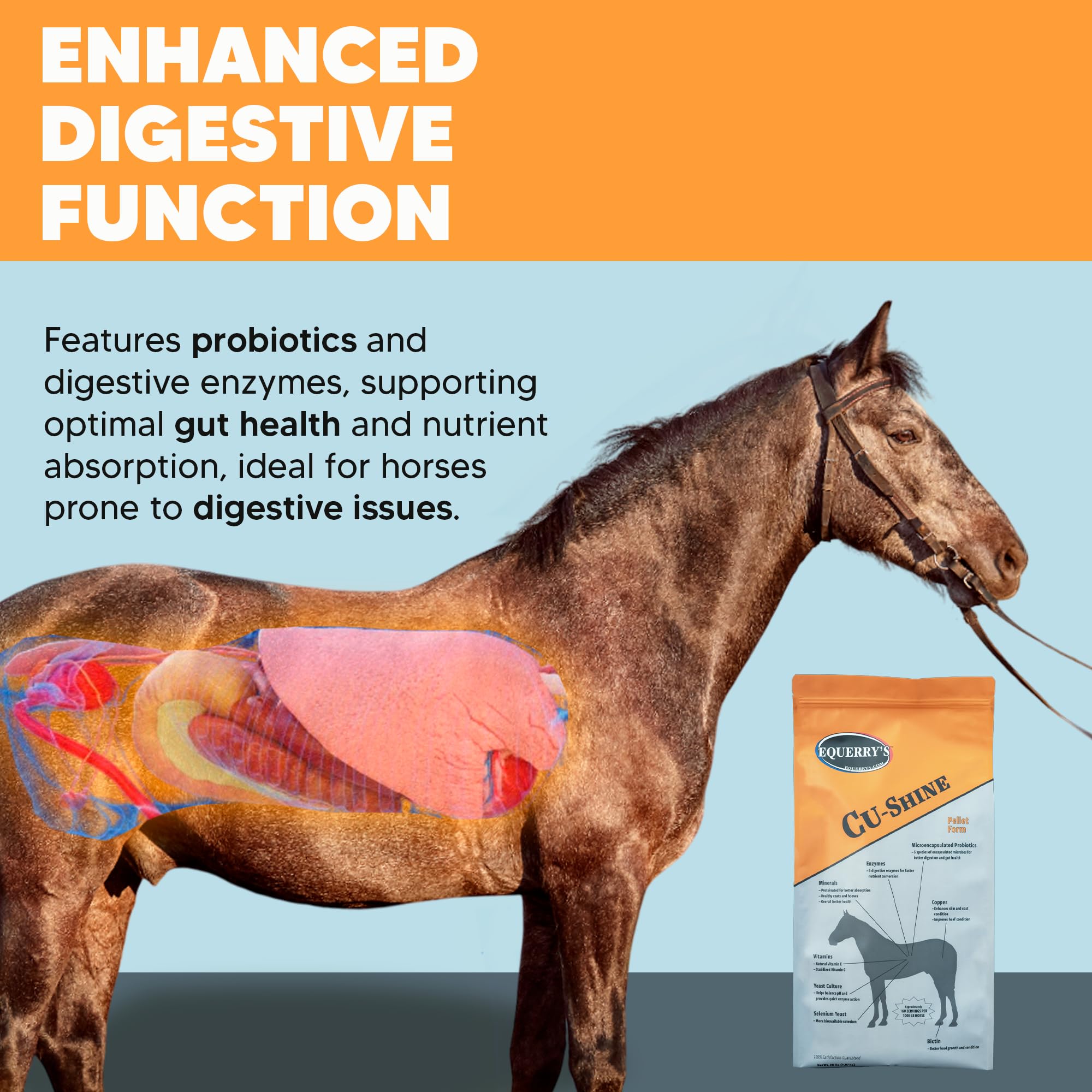 Equerry's Cu-Shine Total Horse Health Pellet Supplement, Horse Probiotics, Biotin for Radiant Coat, Digestive Supplements for Constipation and Gut Health - 5LB
