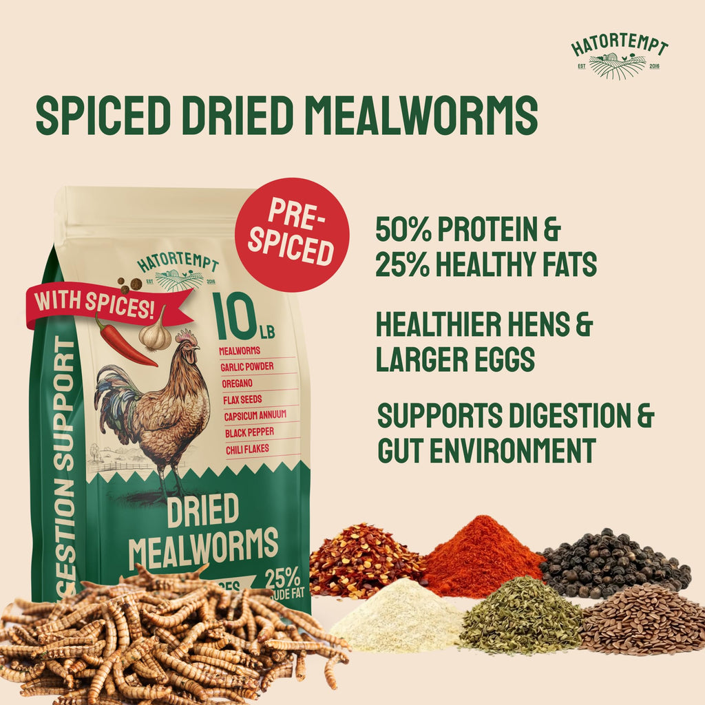 Hatortempt Bulk Dried Mealworms - 10 Lb Bag - Dried Mealworms for Chickens, Ducks & Wild Birds - High-Protein Chicken Feed & Bird Food