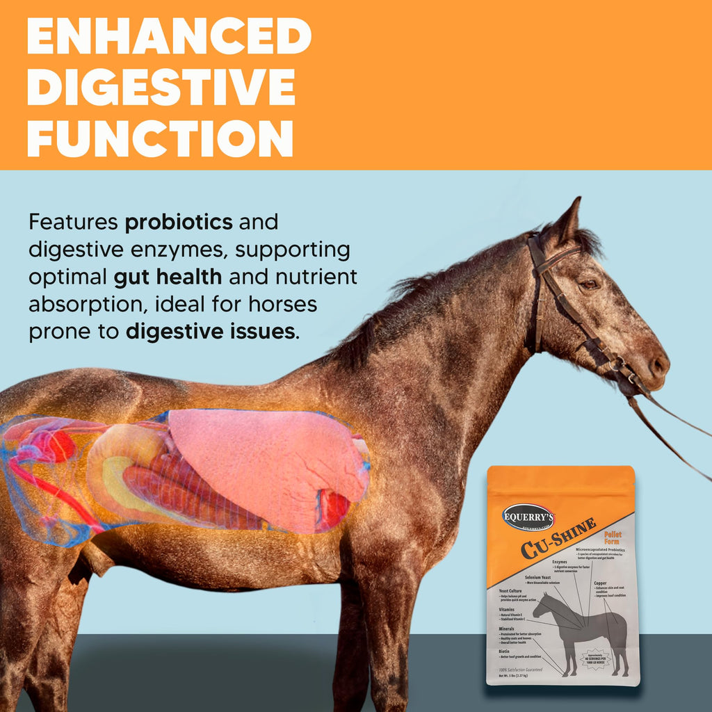 Equerry's Cu-Shine Total Horse Health Pellet Supplement, Horse Probiotics, Biotin for Radiant Coat, Digestive Supplements for Constipation and Gut Health - 5LB