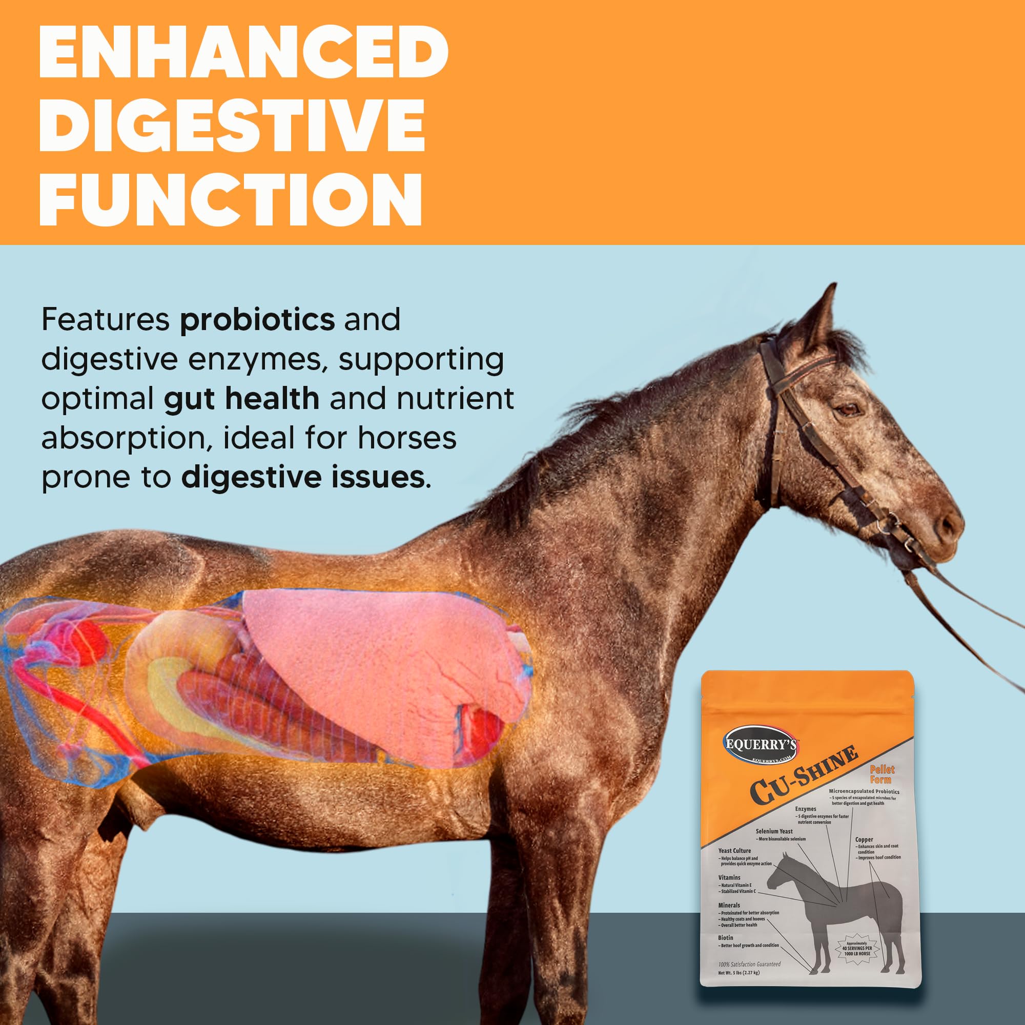 Equerry's Cu-Shine Total Horse Health Pellet Supplement, Horse Probiotics, Biotin for Radiant Coat, Digestive Supplements for Constipation and Gut Health - 5LB