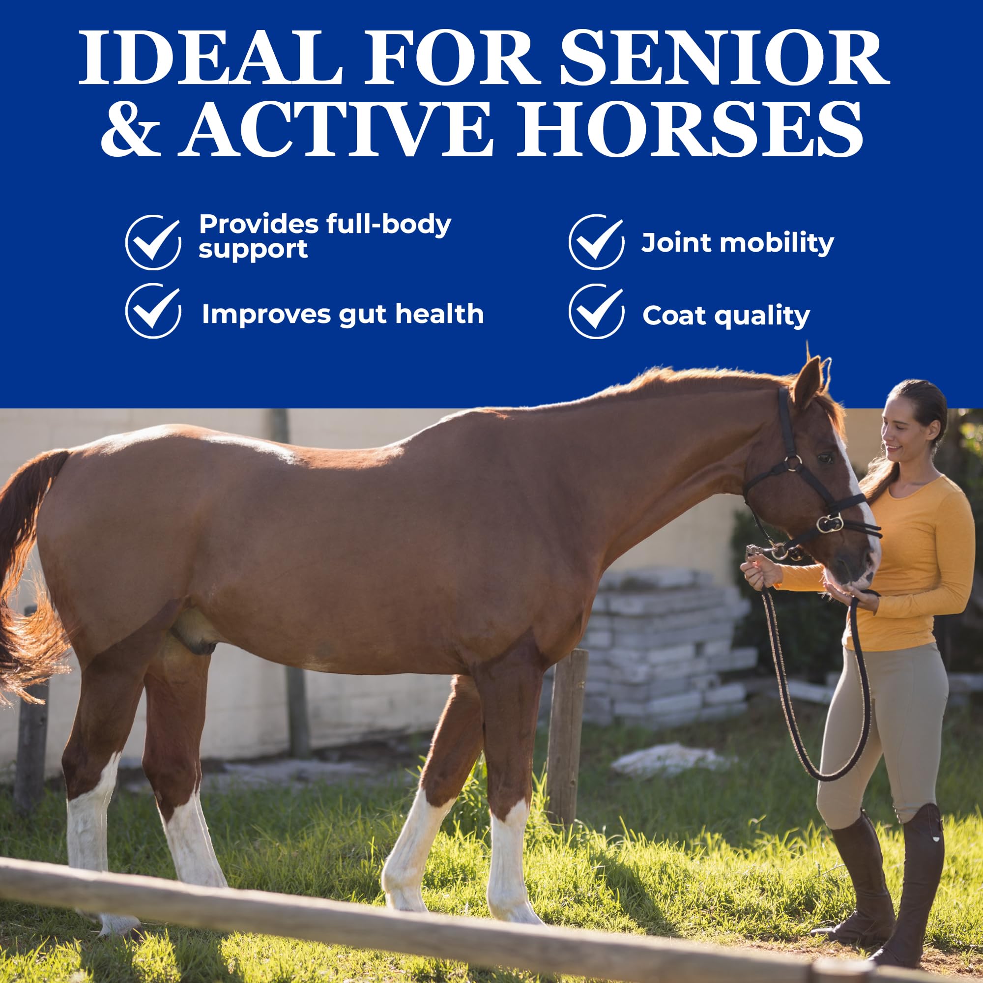 Equerry's Glucosamine Pellets - Joint Support for Horses with Probiotics, Digestive Enzymes, Vitamins, and Minerals - Made in USA - 5lb