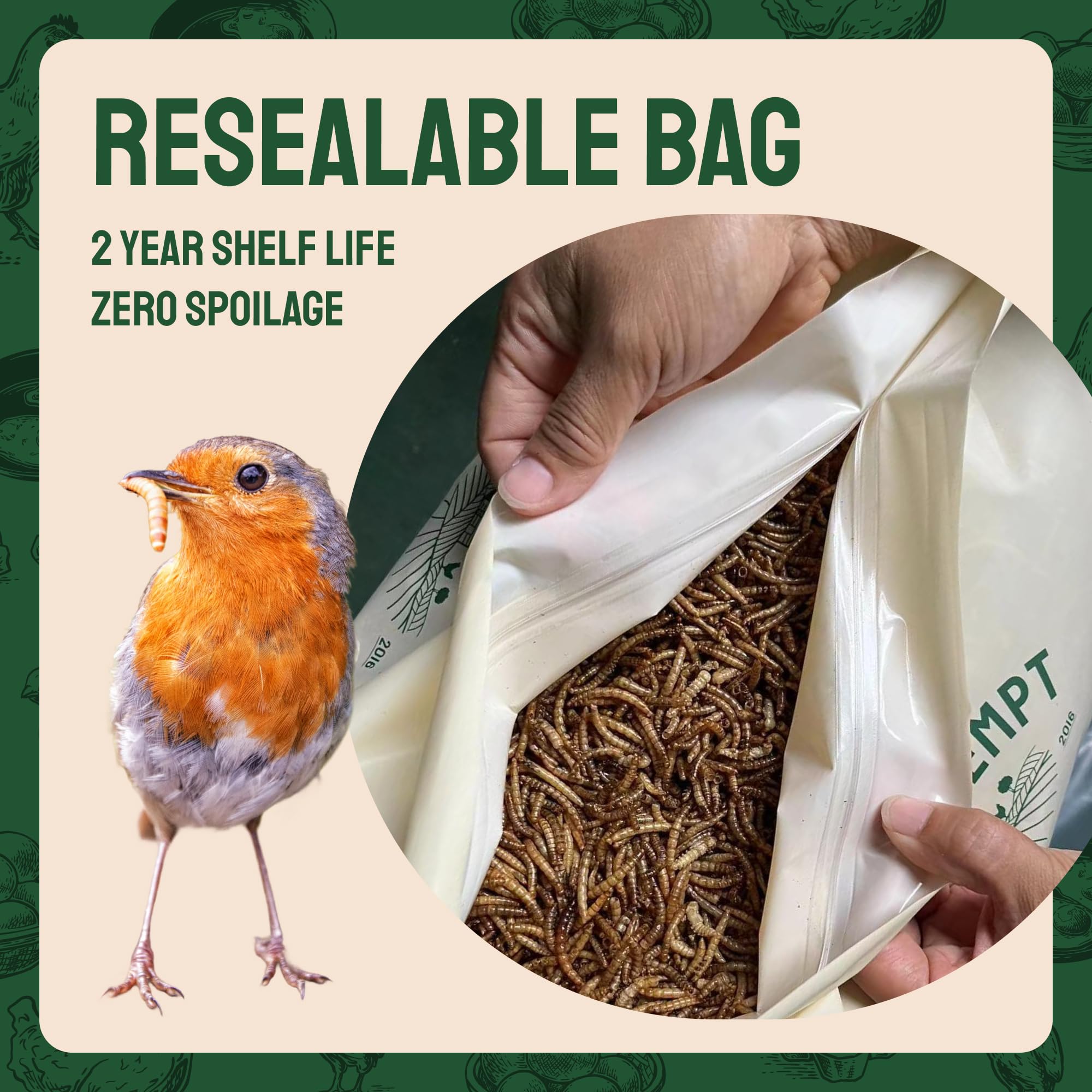 Hatortempt Bulk Dried Mealworms - 10 Lb Bag - Dried Mealworms for Chickens, Ducks & Wild Birds - High-Protein Chicken Feed & Bird Food