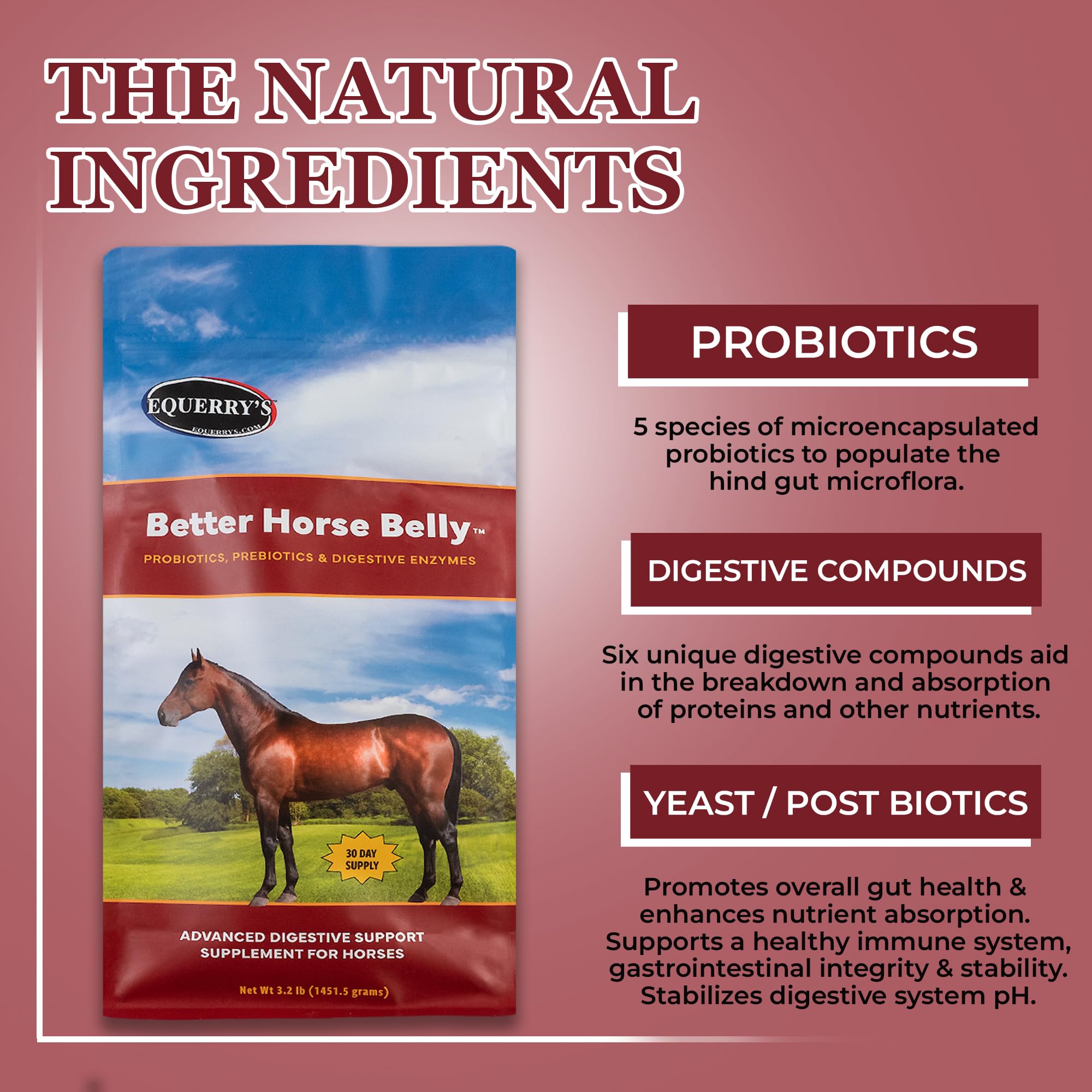 EQUERRY'S Better Horse Belly – Gut Support Supplement with Probiotics, Prebiotics & Digestive Enzymes | for Colic and Digestive Upset, 1.1LB
