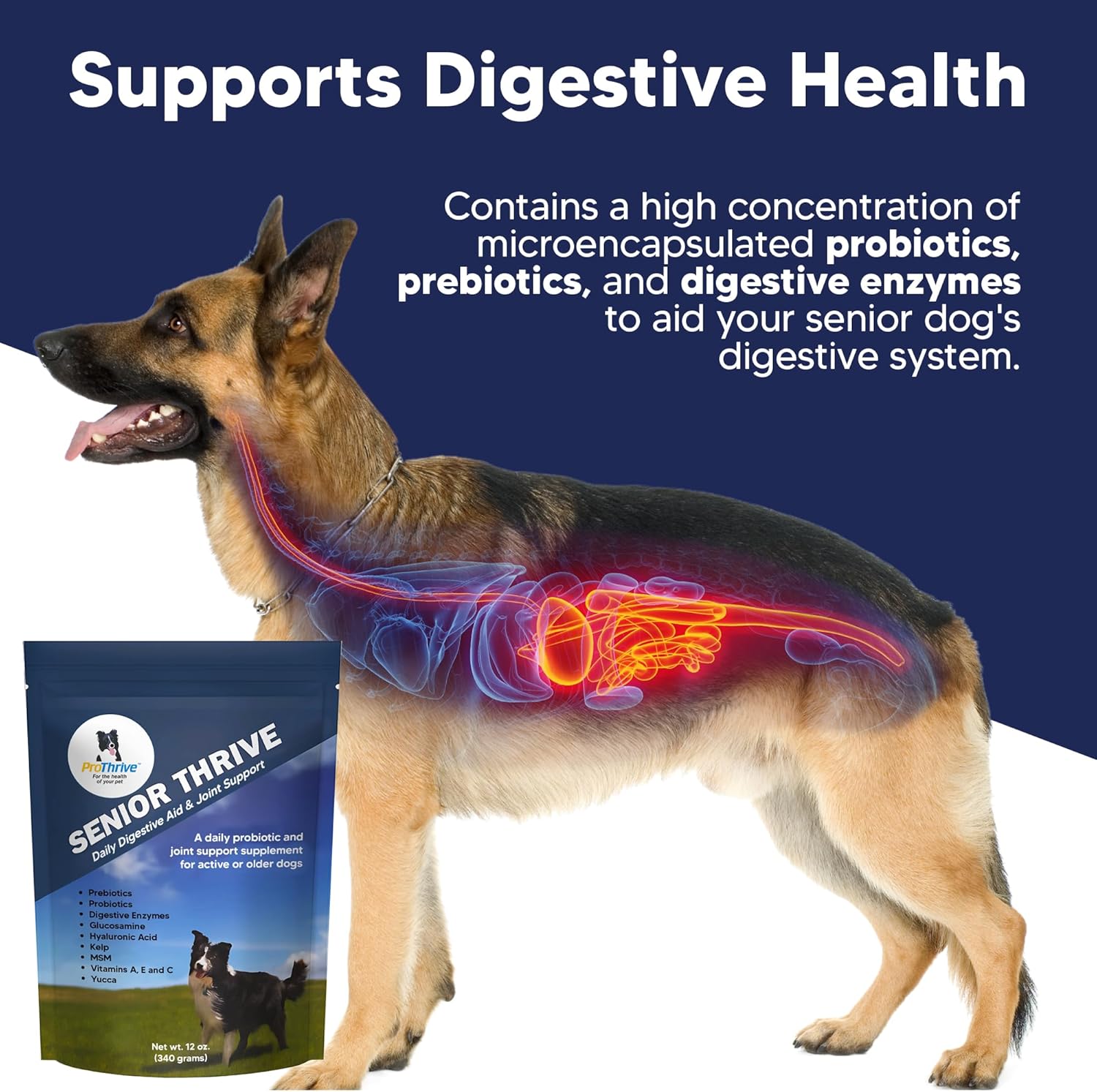 ProThrive Senior Dog Digestive & Joint Supplement - Supports Healthy Digestion, Immune System, and Joint Comfort for Aging Dogs, Advanced Relief - 12 Oz