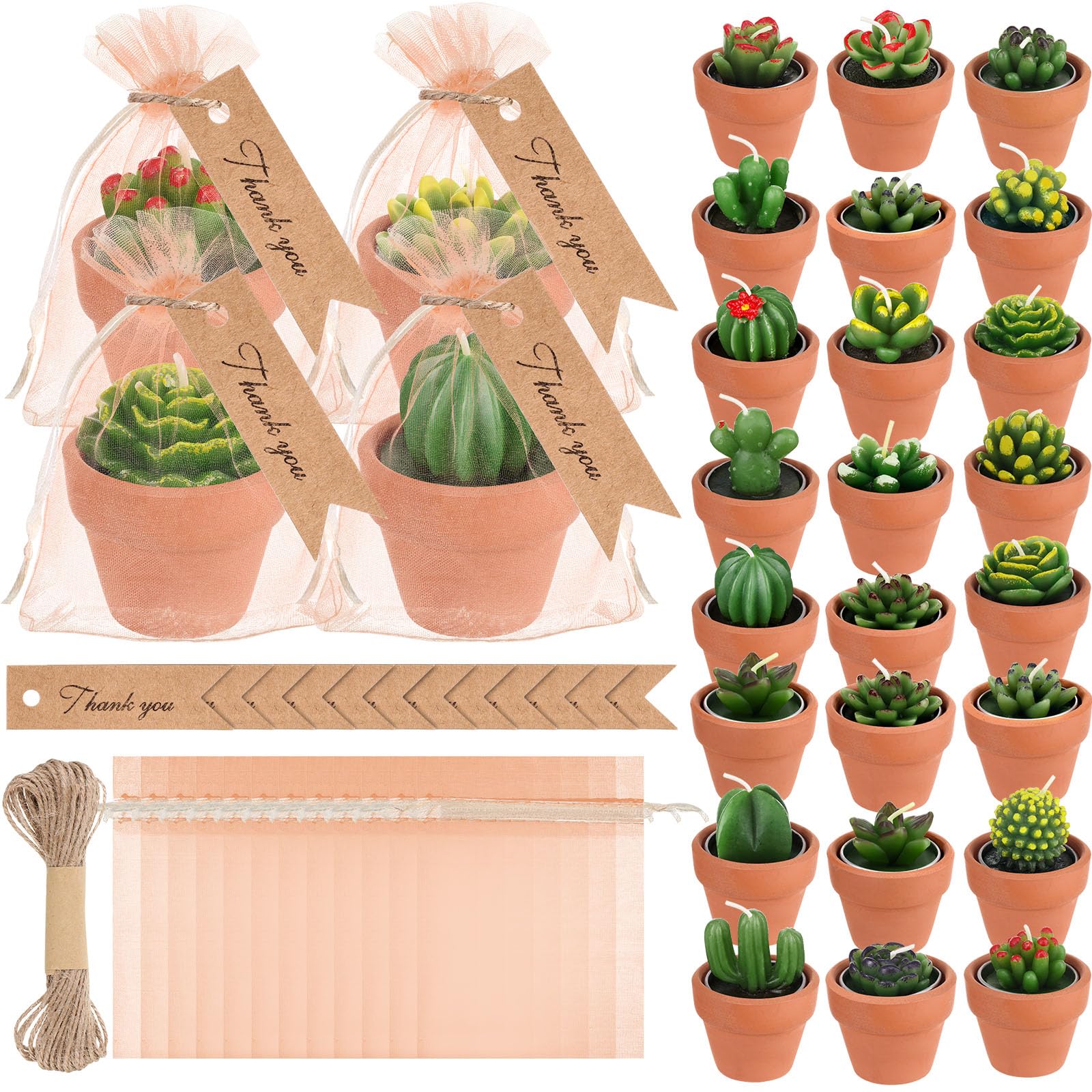 MTLEE 24 Pcs Succulent Tealight Candles - Wedding Party Baby Shower Valentines Gifts Birthday Pack with Terracotta Pot, Organza Bag, Tags, Twines