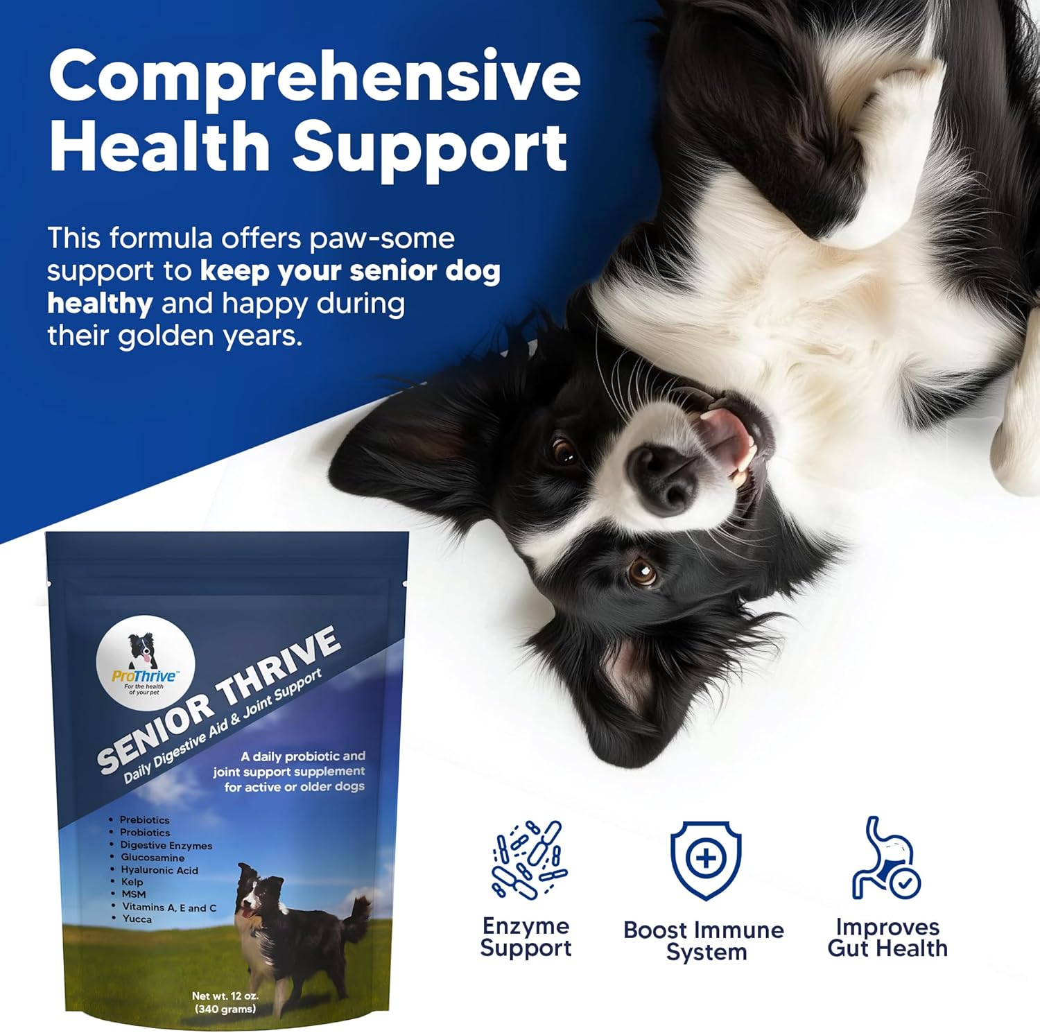 ProThrive Senior Dog Digestive & Joint Supplement - Supports Healthy Digestion, Immune System, and Joint Comfort for Aging Dogs, Advanced Relief - 12 Oz