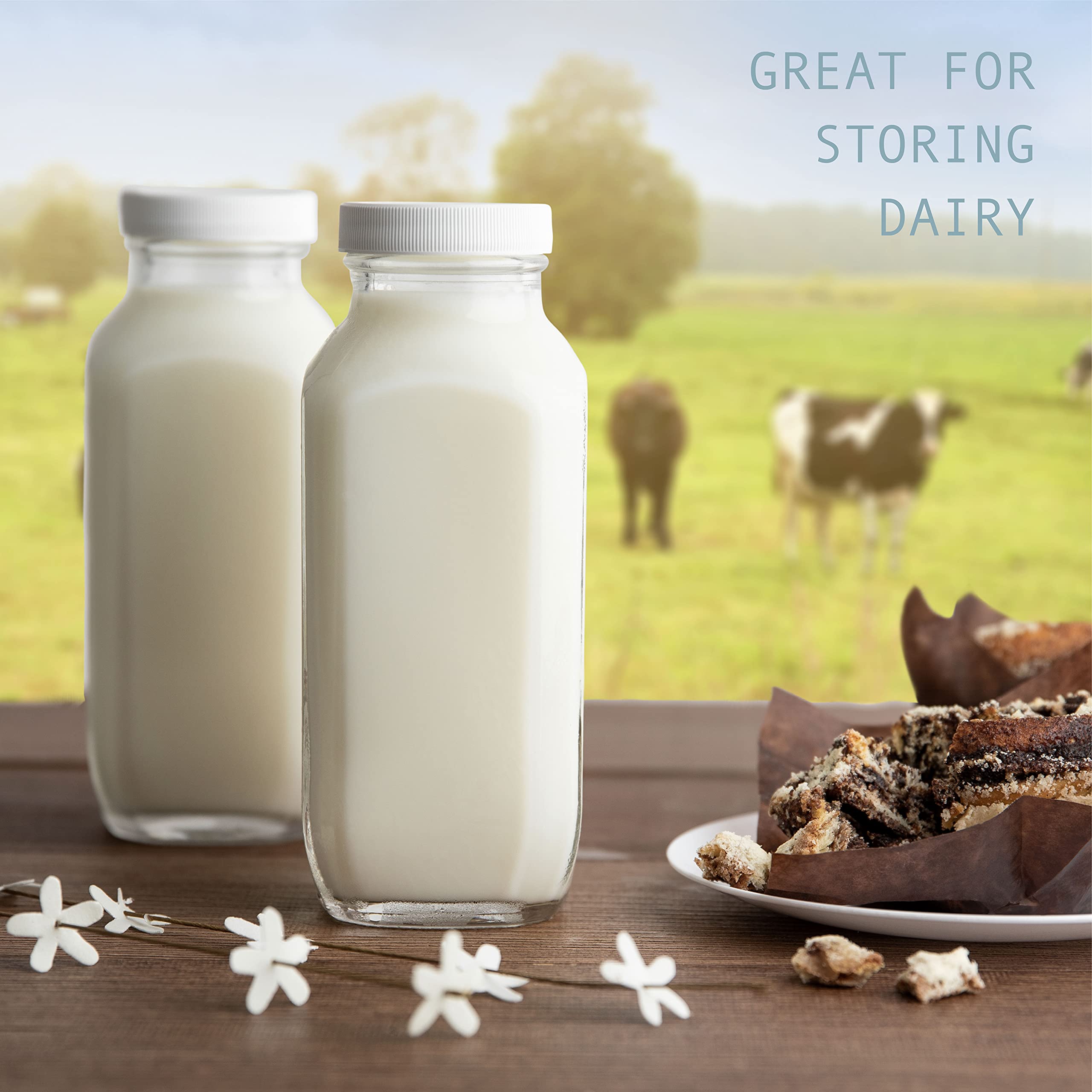 kitchentoolz 16 oz Glass Milk Bottle with Lid - Glass Jars with Airtight Lid used for Milk Container, Yogurt, Smoothies, Juice, Kefir, & Water -2 Pack 16 oz Glass Bottles with Lids