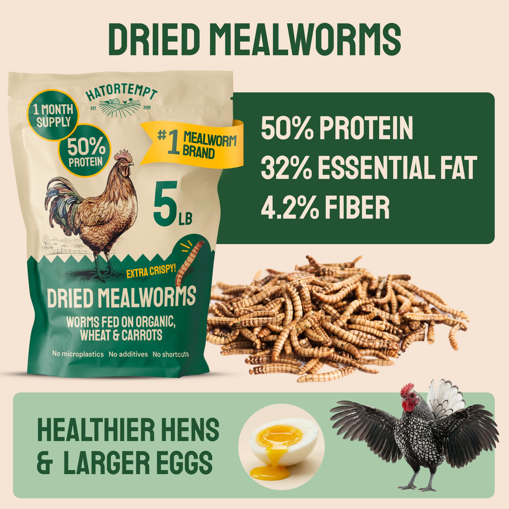 Hatortempt Bulk Dried Mealworms - 10 Lb Bag - Dried Mealworms for Chickens, Ducks & Wild Birds - High-Protein Chicken Feed & Bird Food