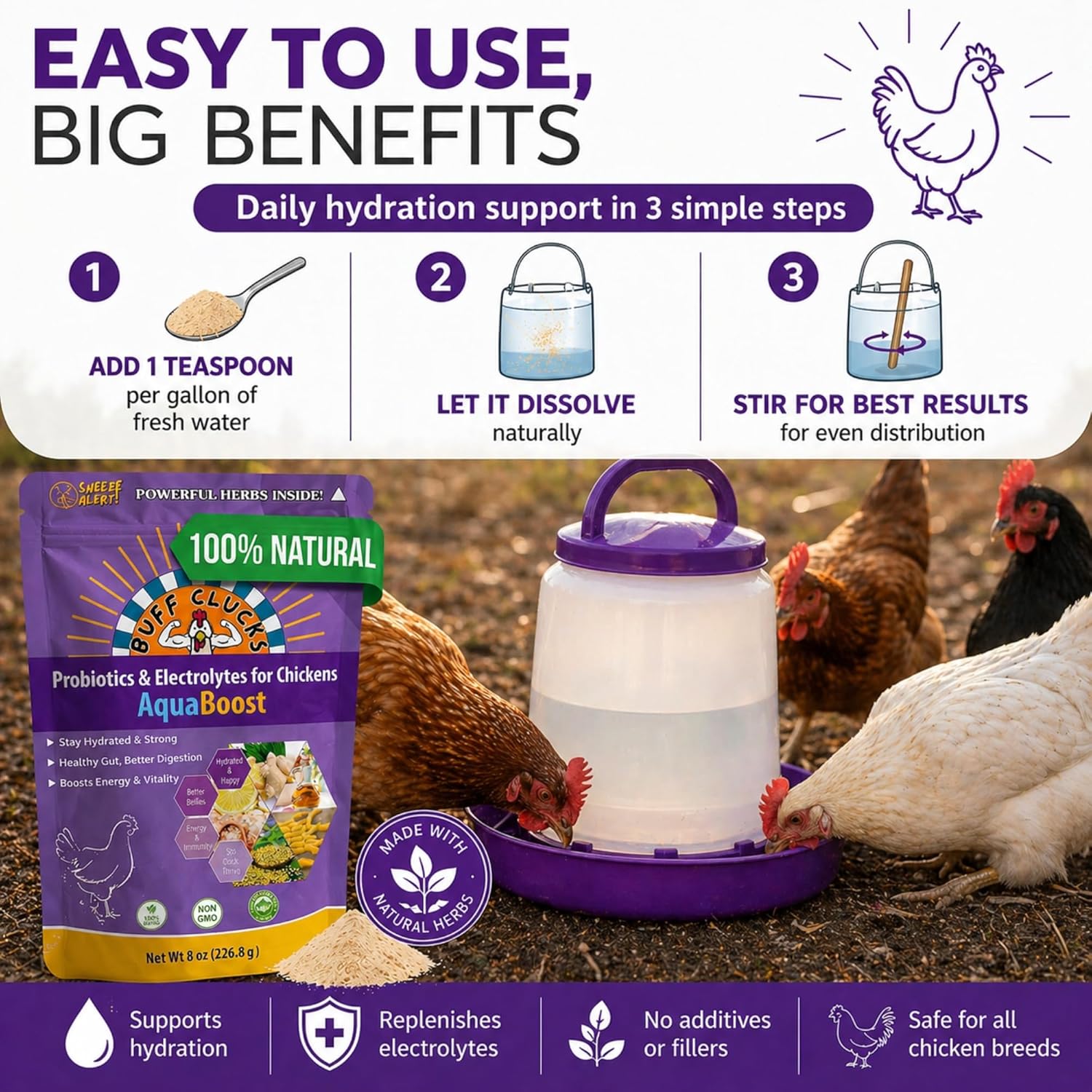 Buff Clucks AquaBoost Probiotic + Electrolyte Powder for Chickens – Natural Hydration & Gut Support Supplemnet for Daily Wellness & Egg Production - Safe for All Flocks & Ages - USA (8 oz)