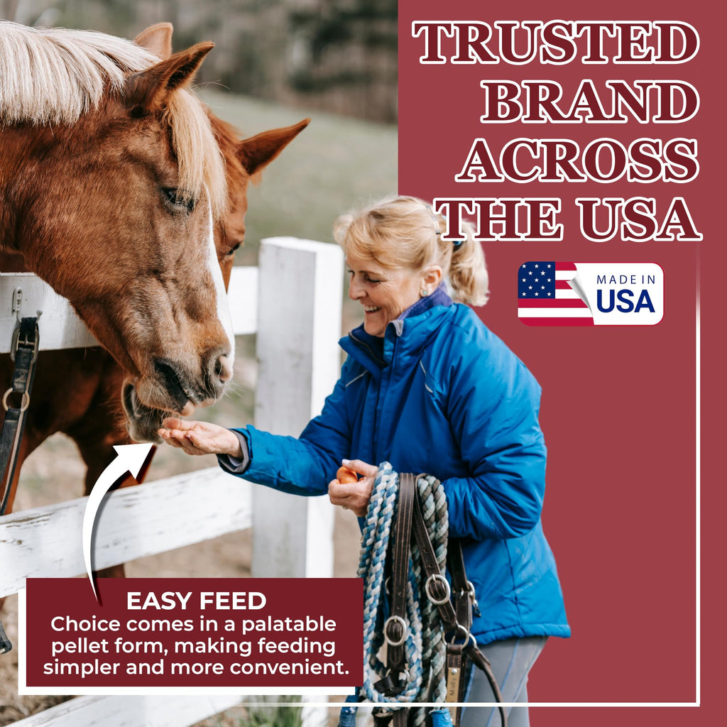 Equerry's Choice Horse Pellets - Complete Nutritional Supplement | Digestive Enzymes | Chelated Vitamins and Minerals | Horse Supplements | 5 lb