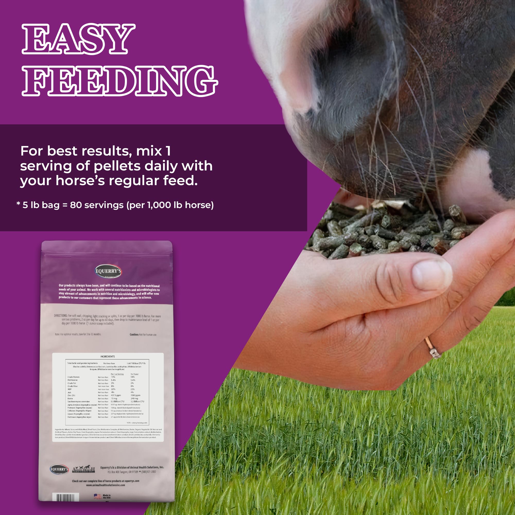 Equerry's Professional Hoof-GRO Equine Hoof Supplement for Horses, with Biotin, Digestive Enzymes, Probiotics, Supports Strong Healthy Hooves (5 lb)