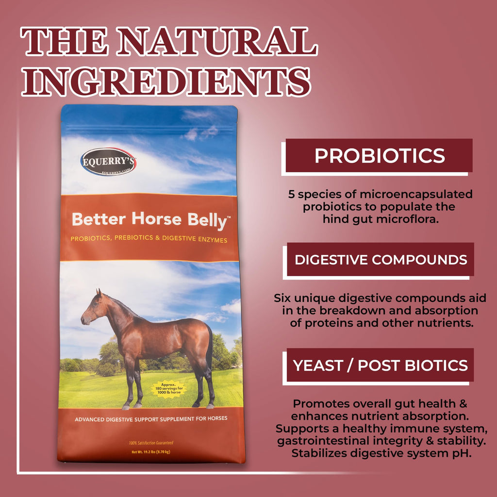 EQUERRY'S Better Horse Belly – Gut Support Supplement with Probiotics, Prebiotics & Digestive Enzymes | for Colic and Digestive Upset, 1.1LB