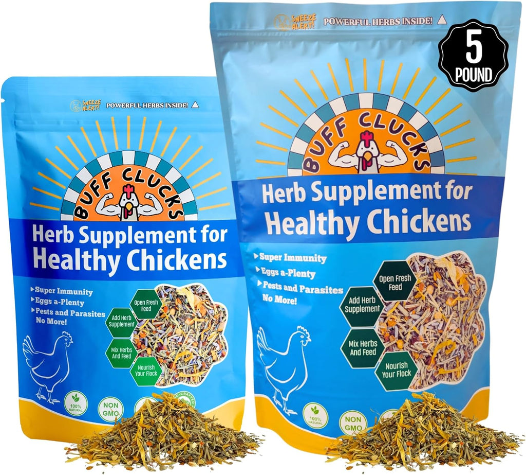 Buff Clucks Chicken Herb Supplement Mix – Large Bundle | Garden-Fresh Botanical Treat & Nesting Box Topper for Backyard Chickens, Ducks & Quail | Aromatic Oregano, Calendula, Basil, Lavender