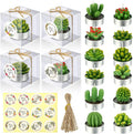 Qunclay 12 Sets Succulent Cactus Candle Party Favor Mini Succulent Tealight Candle Gift Smokeless for Wedding Graduation Birthday Party Anniversary Celebration Spa Home Decor