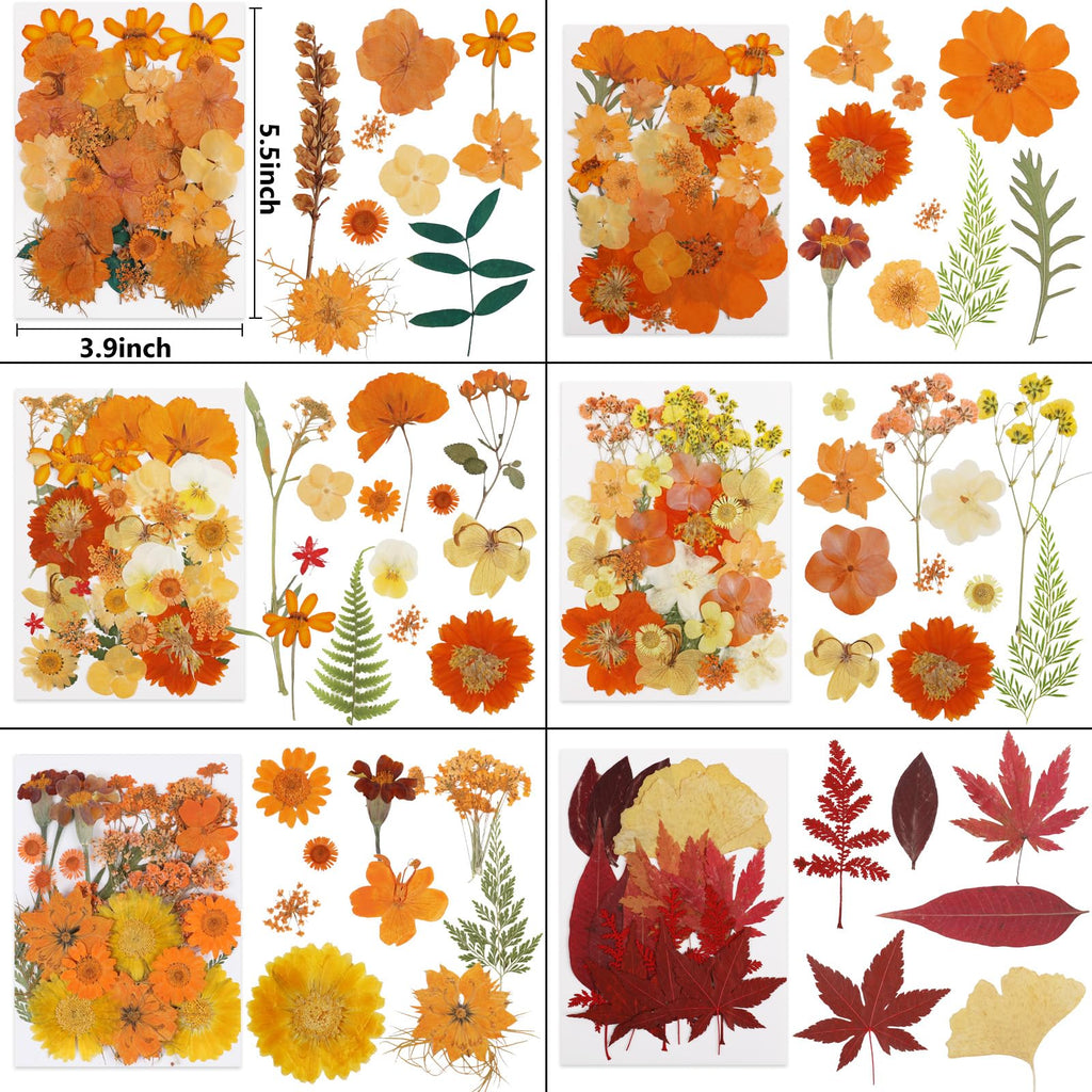 NESCCI 420 Pcs Dried Pressed Flowers for Resin,Real Nature Dried Flowers for Crafts Bulk Dry Flowers Leaves Kit Used for Resin Molds Scrapbooking DIY Art Crafts Candle Soap Making Nails Décor