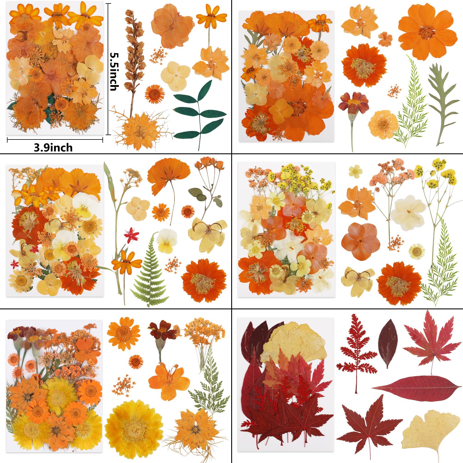 NESCCI 420 Pcs Dried Pressed Flowers for Resin,Real Nature Dried Flowers for Crafts Bulk Dry Flowers Leaves Kit Used for Resin Molds Scrapbooking DIY Art Crafts Candle Soap Making Nails Décor