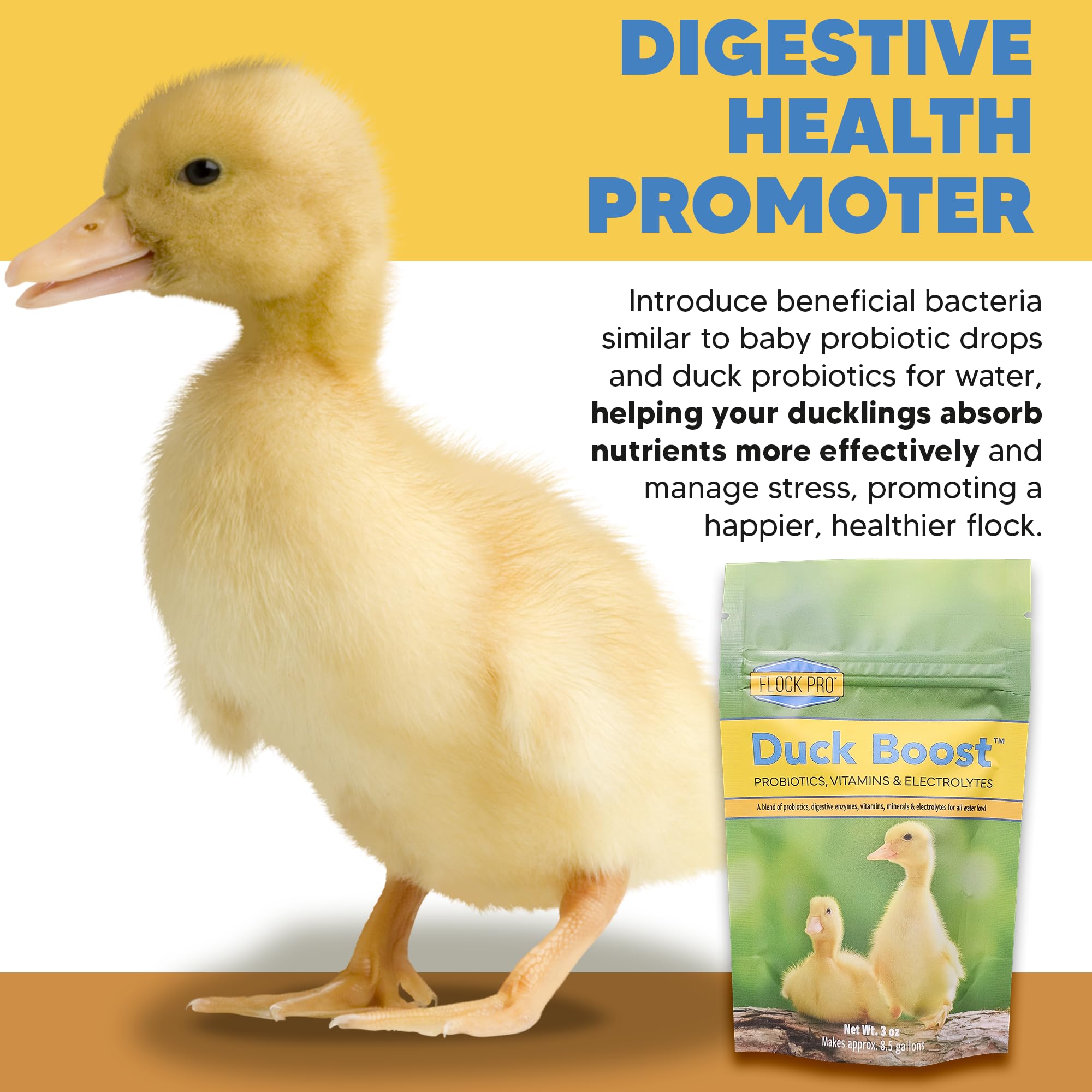Duck Boost Probiotic - Probiotics, Vitamins, Minerals and Electrolytes for Chickens | Duck Vitamins and Supplements for All Poultry - 3oz
