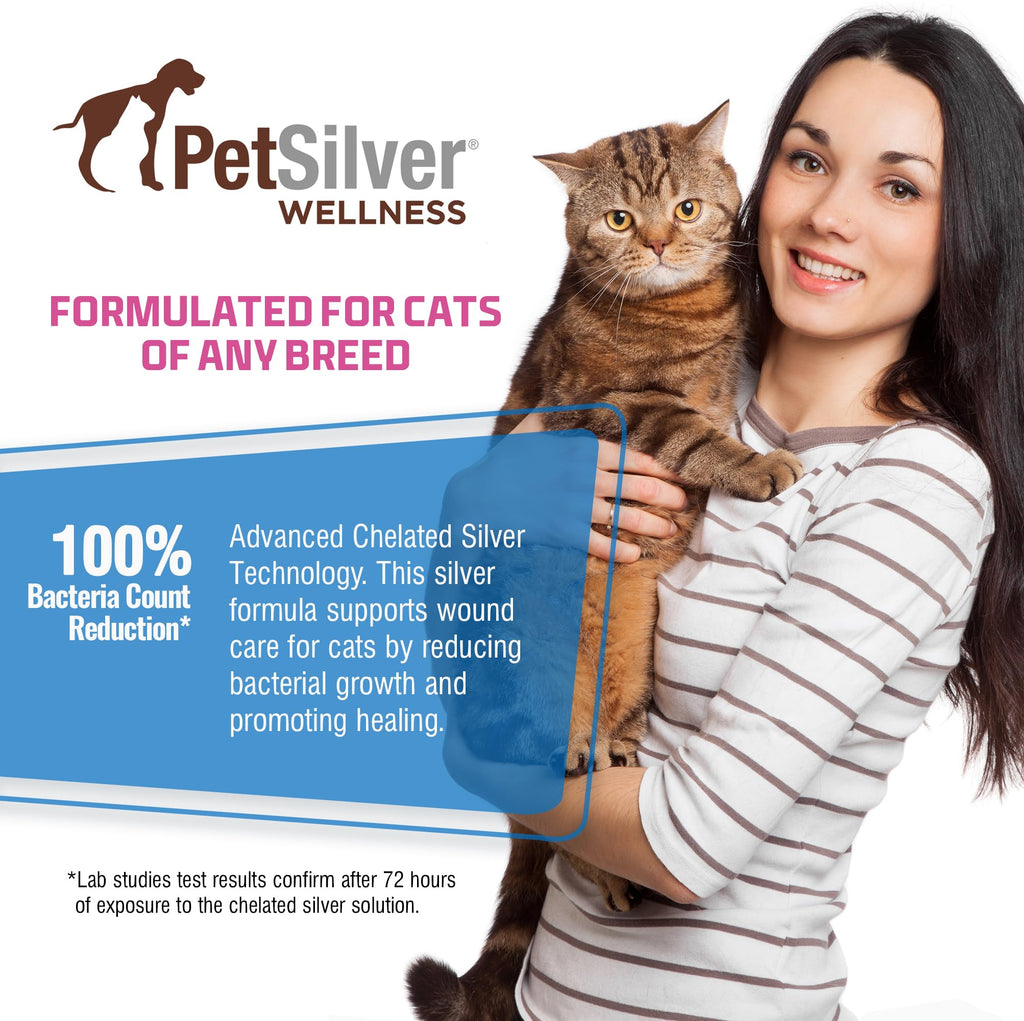 PetSilver Antibacterial Wound & Skin Spray | Dog Hot Spot Treatment & Cat Wound Spray | Chelated Silver Skin Soother for Rashes & Sores | Dog Wound Care & Itch Spray - 4 fl oz