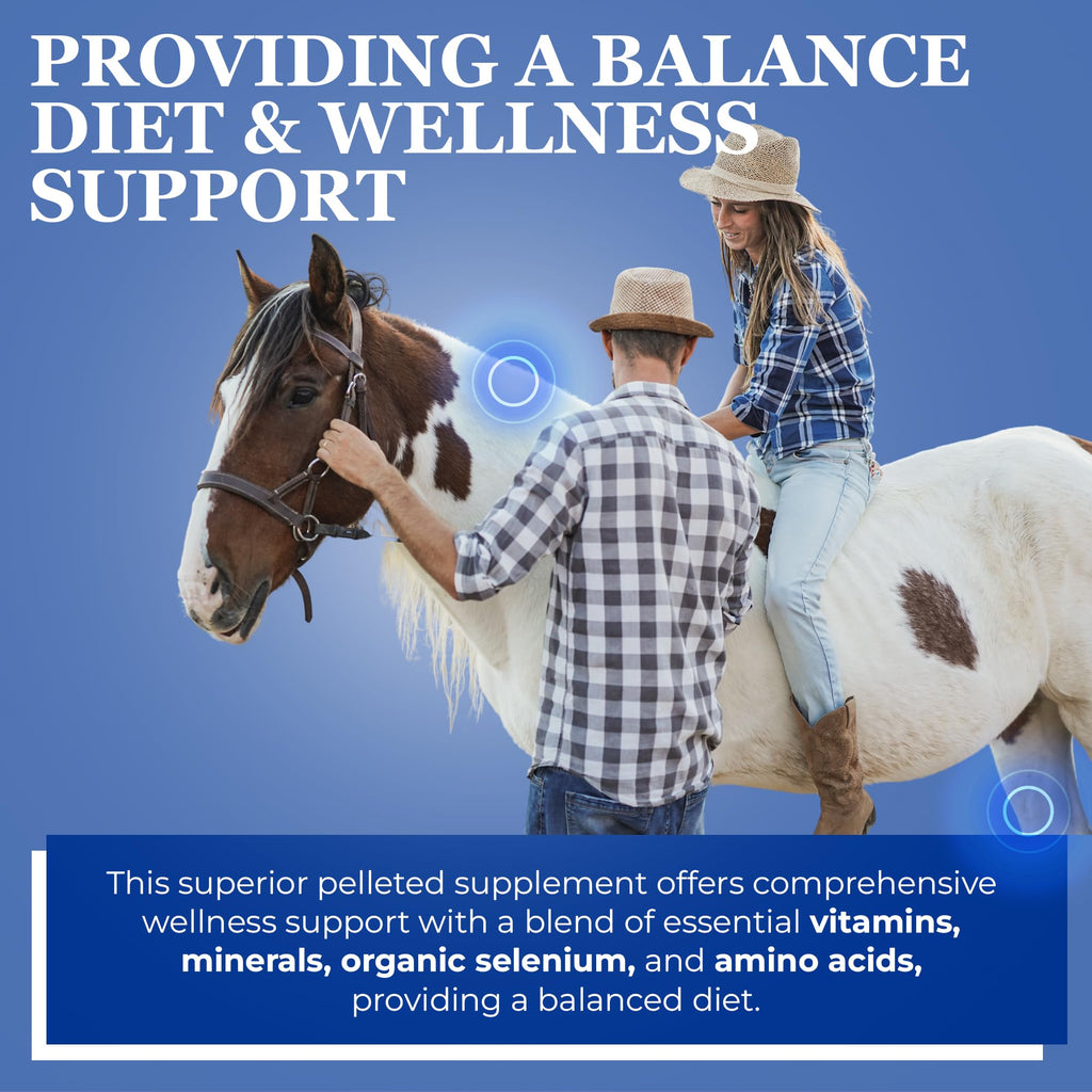 Equerry's Glucosamine Pellets - Joint Support for Horses with Probiotics, Digestive Enzymes, Vitamins, and Minerals - Made in USA - 5lb