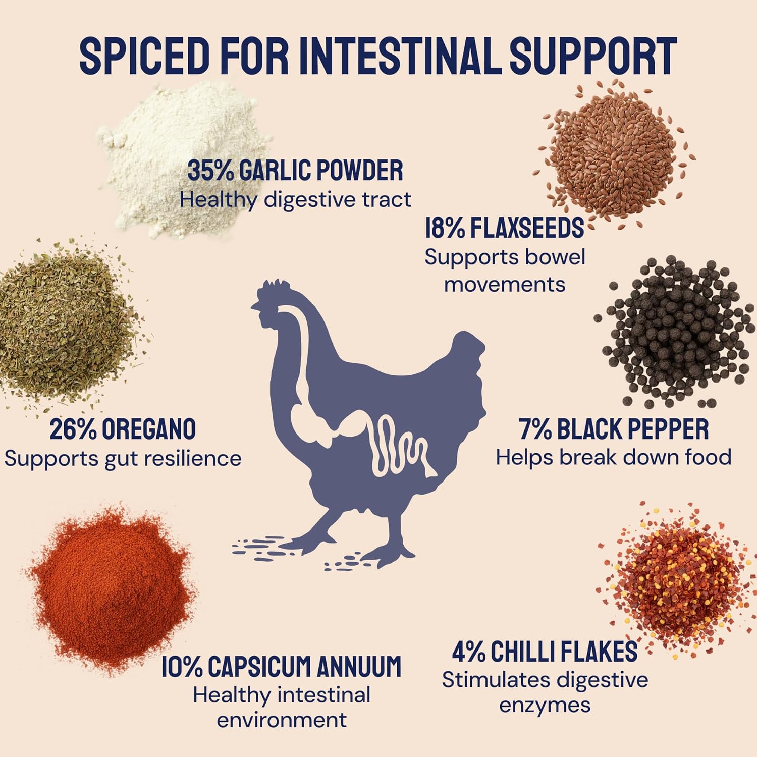 Hatortempt Spiced Black Soldier Fly Larvae for Chickens 10lb - High-Calcium Worm Treats for Laying Hens - Coated with a Chili Mix for Chickens
