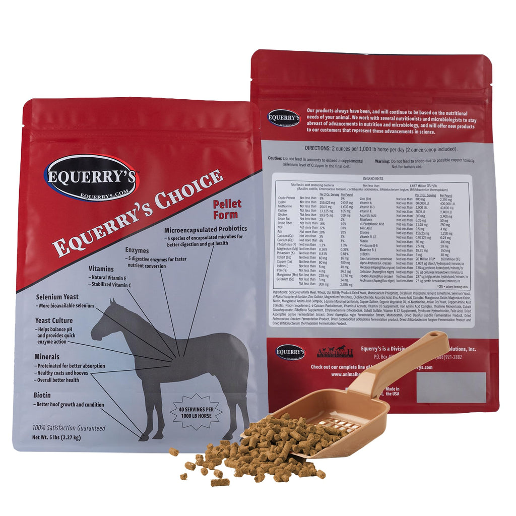 Equerry's Choice Horse Pellets - Complete Nutritional Supplement | Digestive Enzymes | Chelated Vitamins and Minerals | Horse Supplements | 5 lb