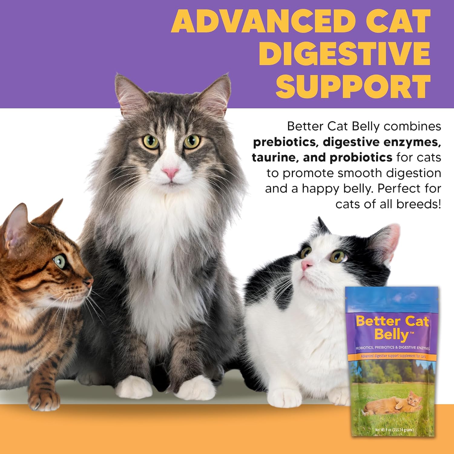 ProThrive Better Cat Belly Advanced Cat Digestive Support Supplement, Powder Prebiotics & Probiotics for Cats, Taurine Amino Acid for Immune Support, 9 Oz Bag