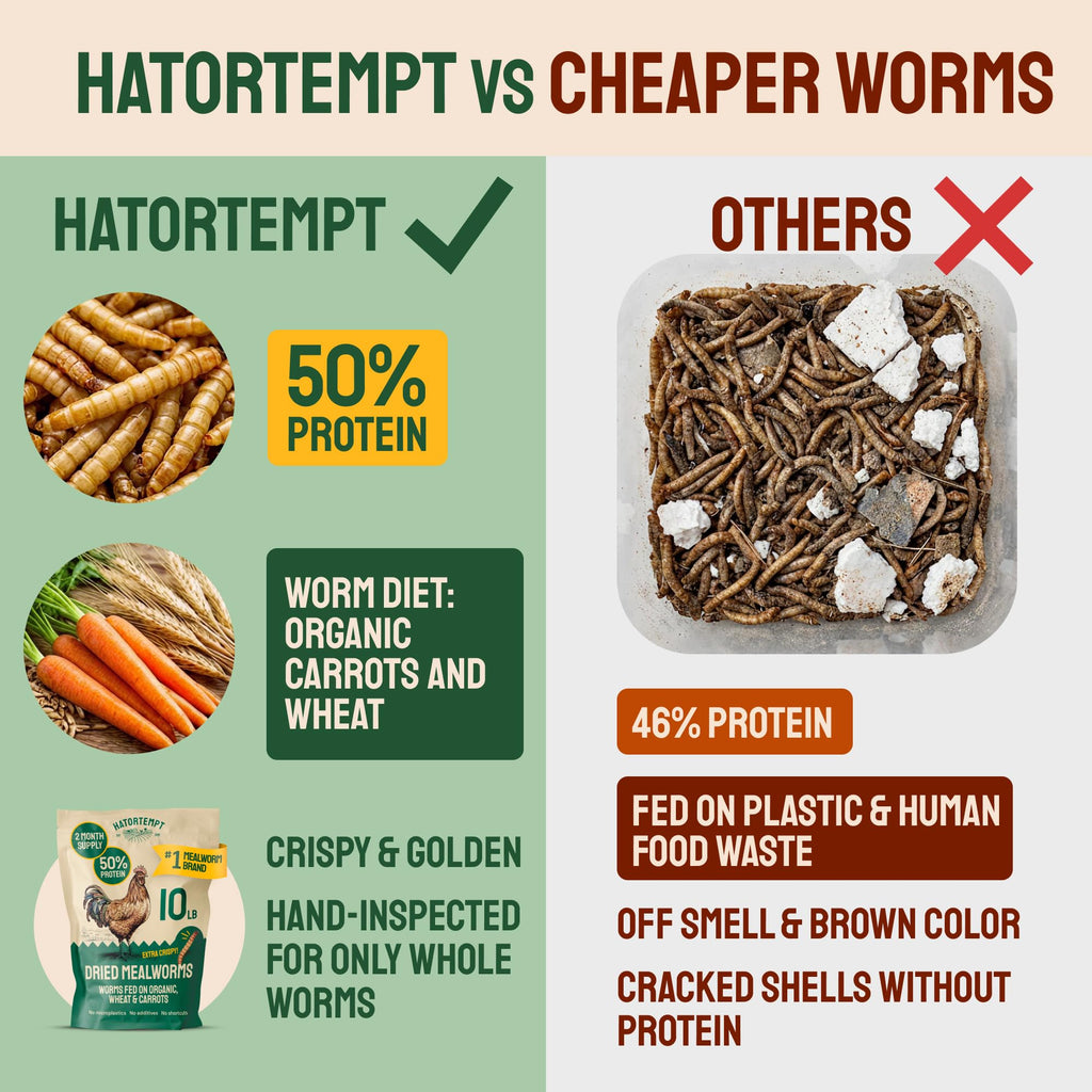 Hatortempt Bulk Dried Mealworms - 10 Lb Bag - Dried Mealworms for Chickens, Ducks & Wild Birds - High-Protein Chicken Feed & Bird Food