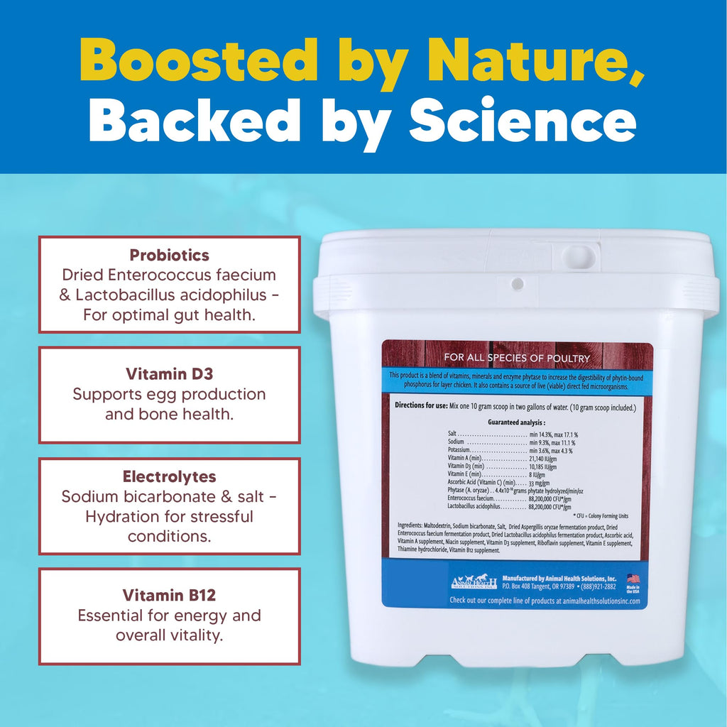 Equerry's Flock PRO Chick Boost Probiotic - Probiotics, Vitamins, Minerals and Electrolytes for Chickens | Chicken Vitamins and Supplements for All Poultry - 8oz