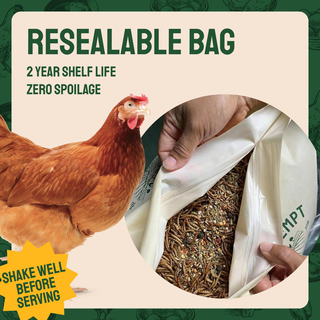Hatortempt Bulk Dried Mealworms - 10 Lb Bag - Dried Mealworms for Chickens, Ducks & Wild Birds - High-Protein Chicken Feed & Bird Food